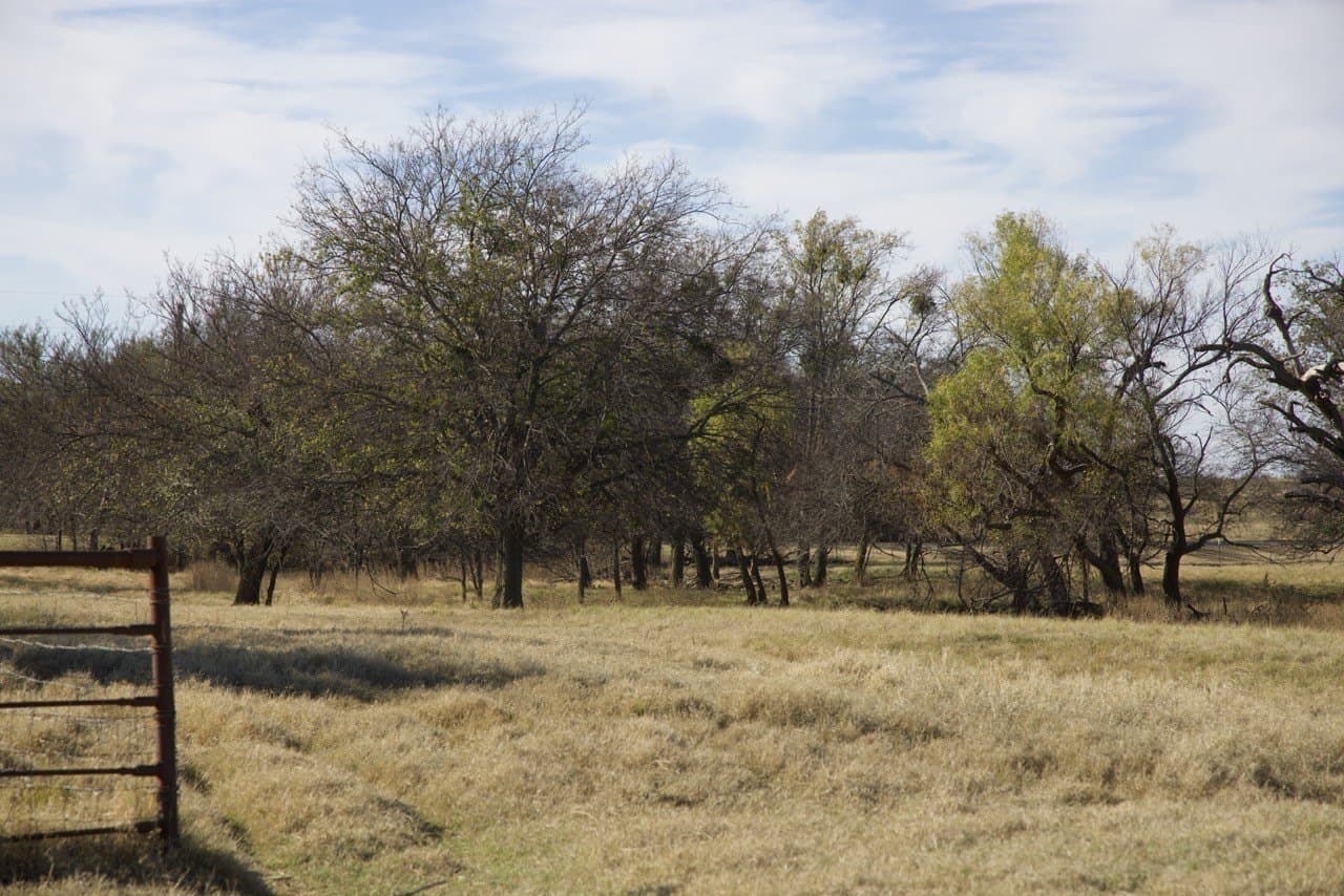 87 acres in Young County - photo 27