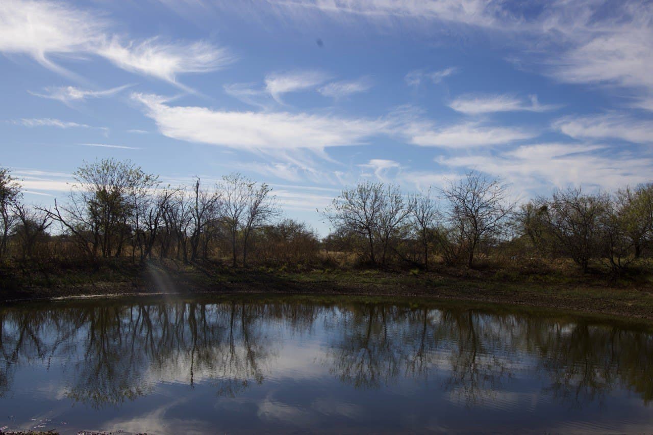 87 acres in Young County - photo 13