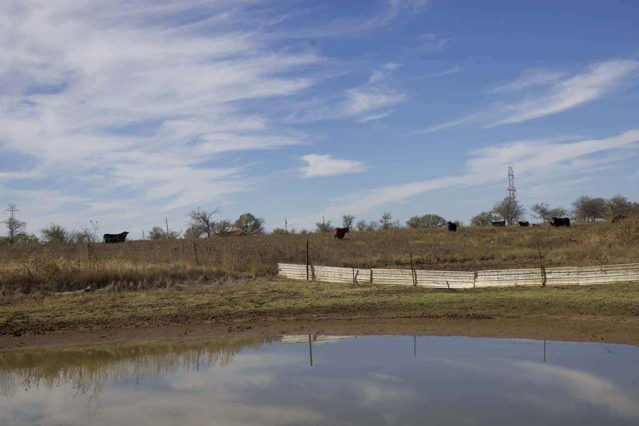 87 acres in Young County - photo 20