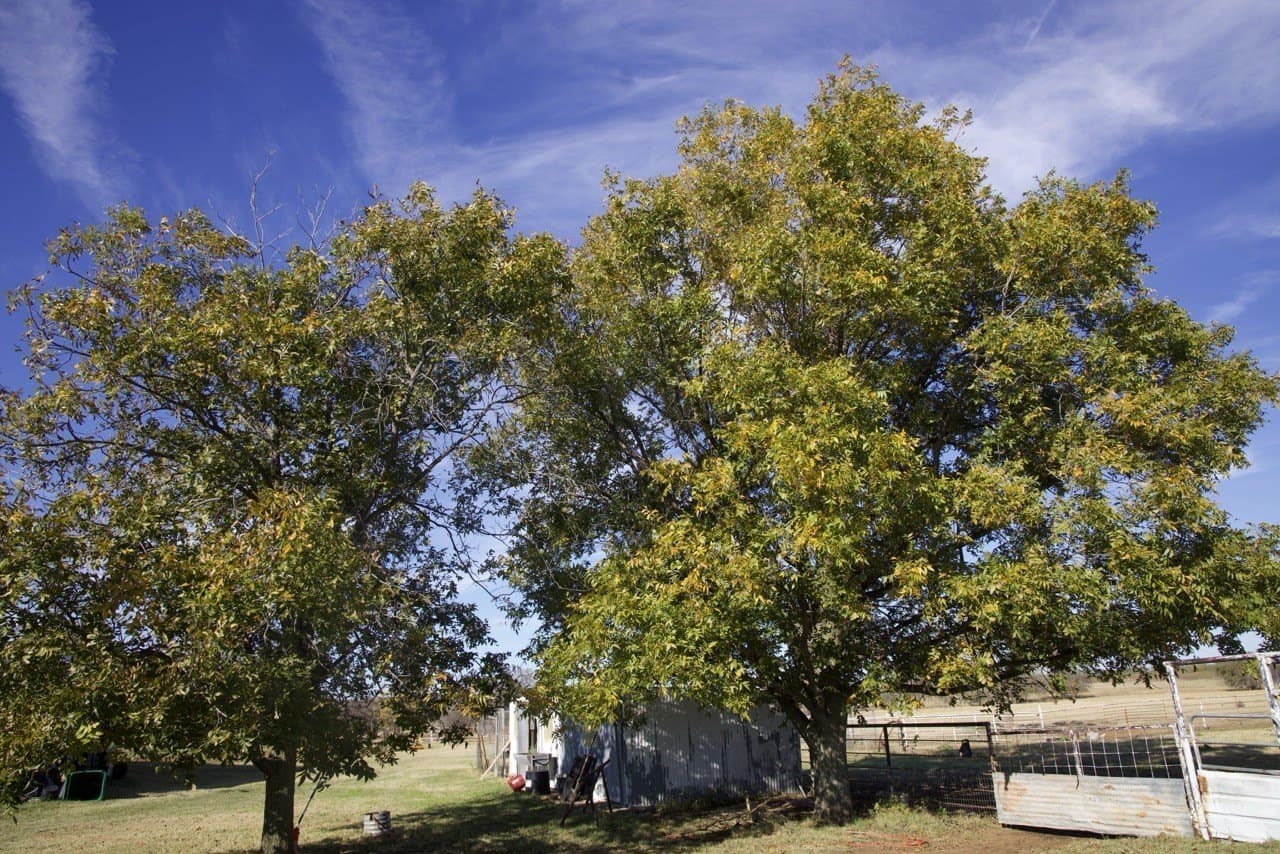 87 acres in Young County - photo 31