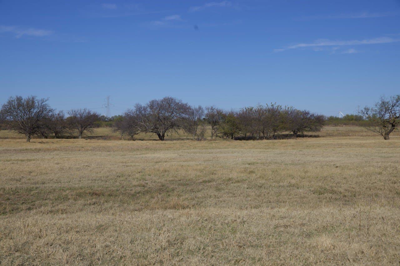 87 acres in Young County - photo 25