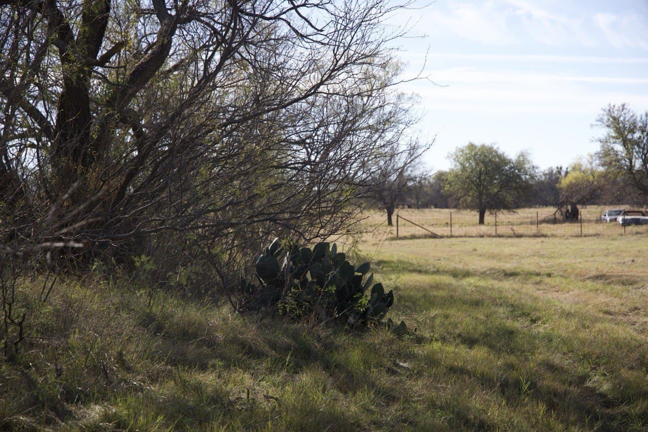 87 acres in Young County - photo 11