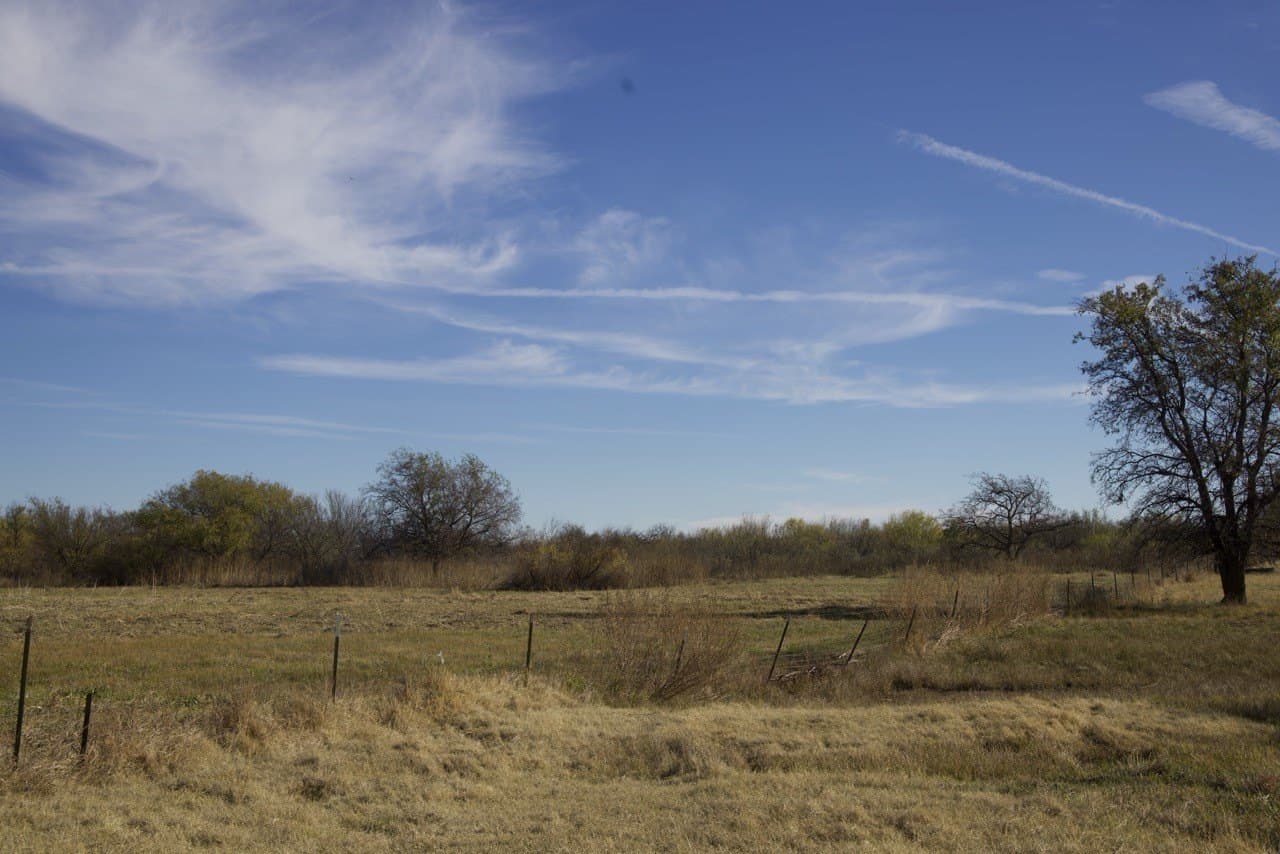 87 acres in Young County - photo 23