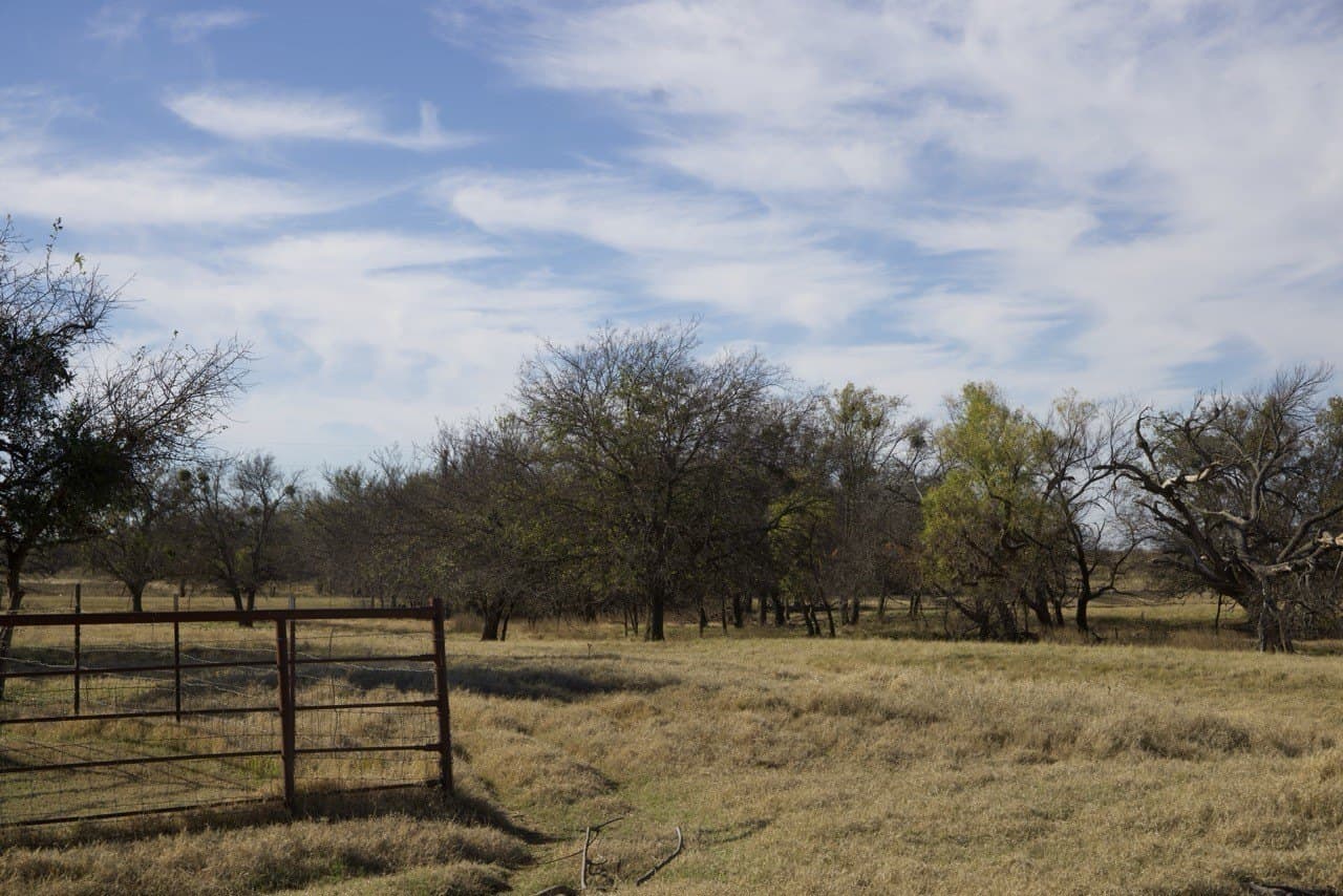 87 acres in Young County - photo 26