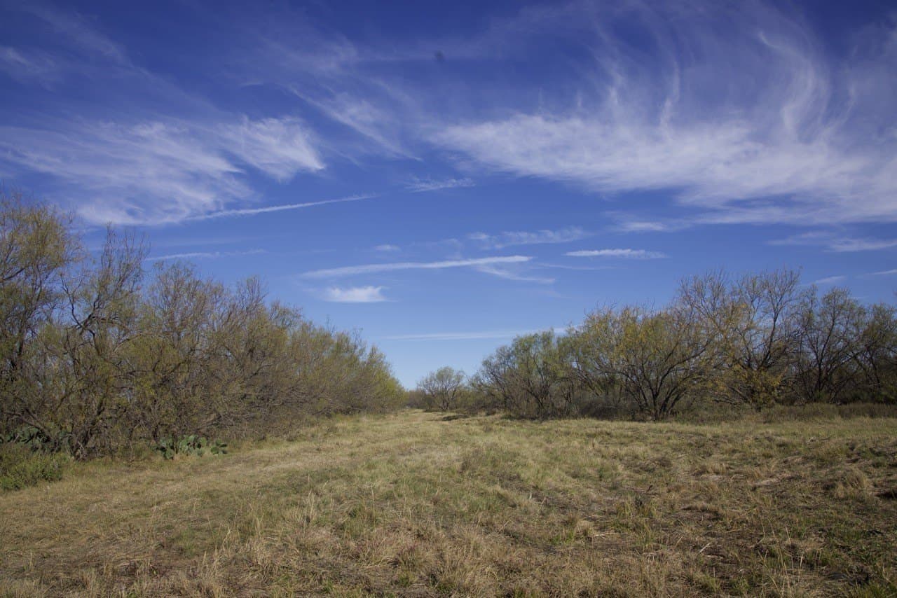 87 acres in Young County - photo 17