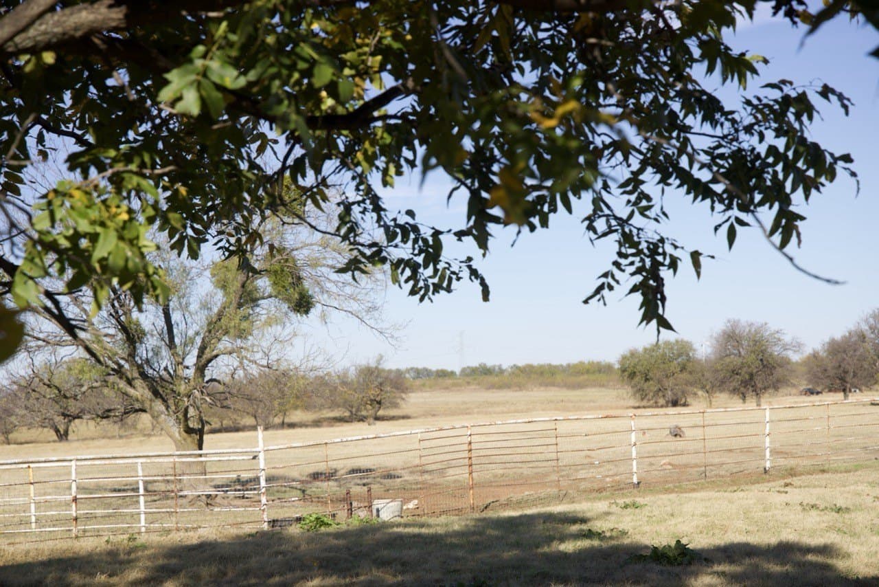 87 acres in Young County - photo 30