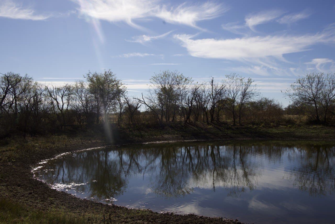 87 acres in Young County - photo 15