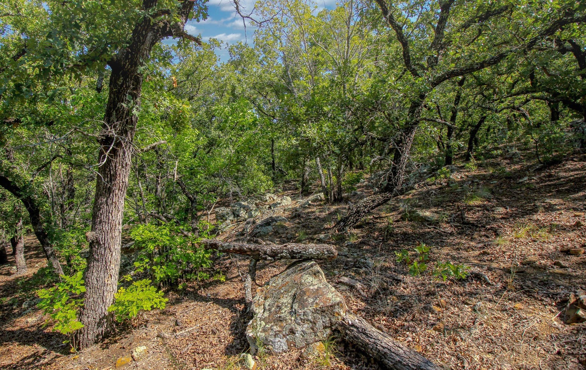118.3 acres in Jack County - photo 22