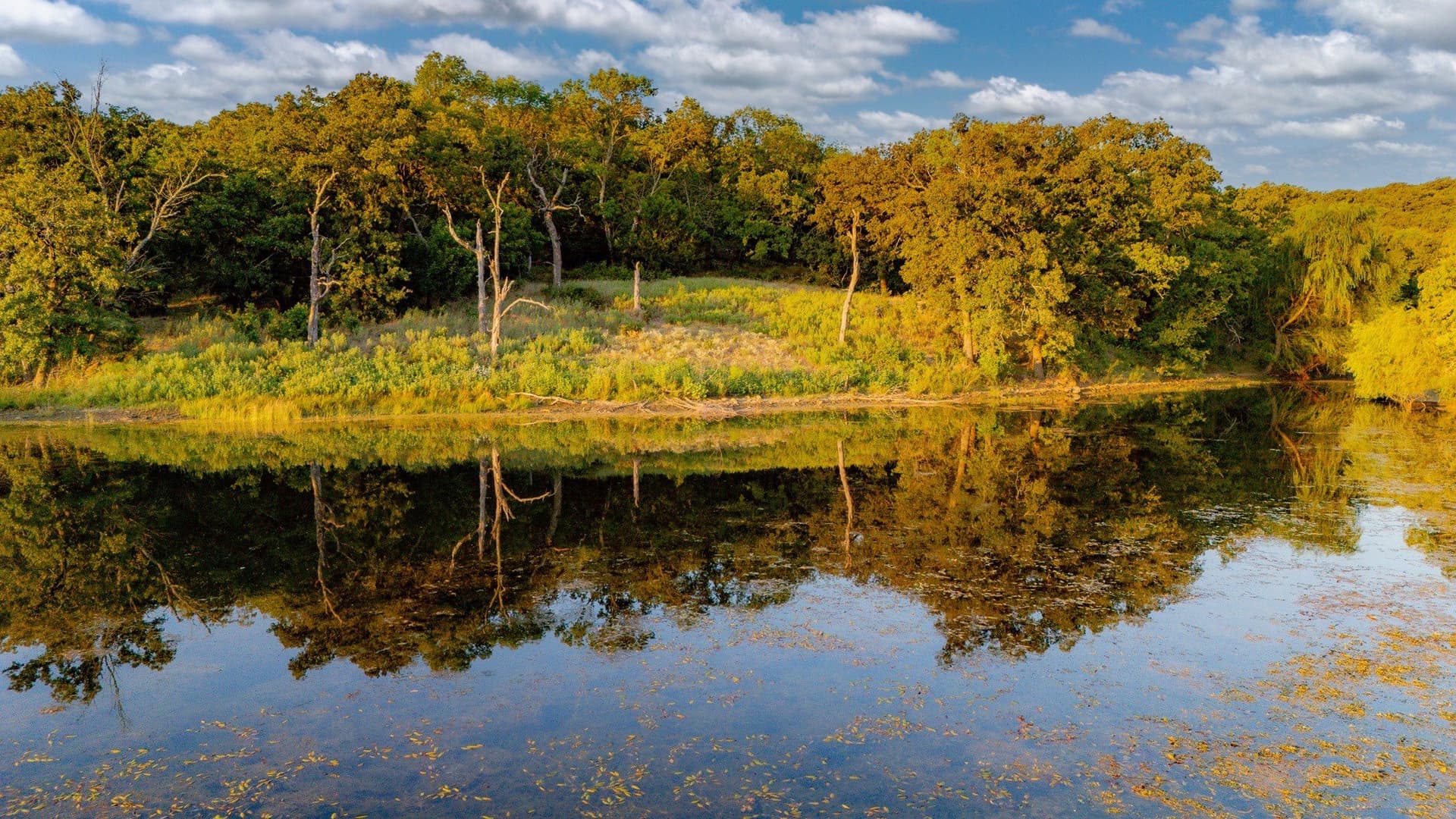 118.3 acres in Jack County - photo 17