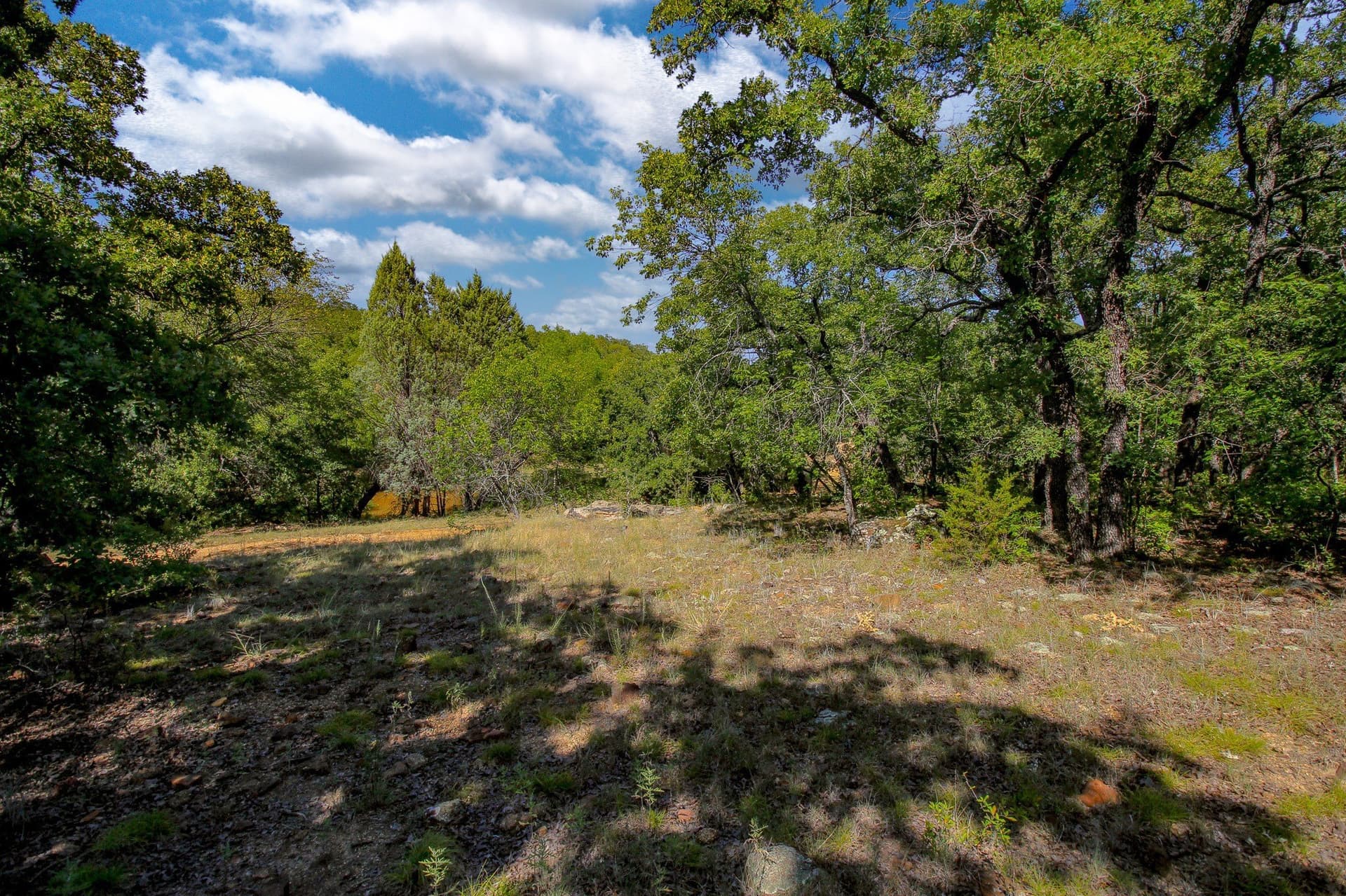 118.3 acres in Jack County - photo 21