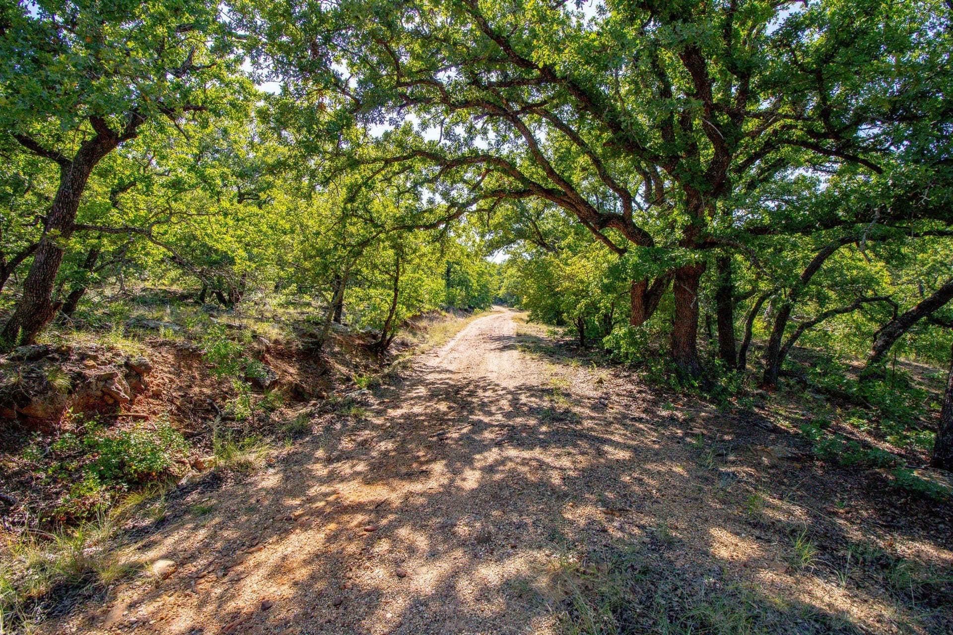 118.3 acres in Jack County - photo 20