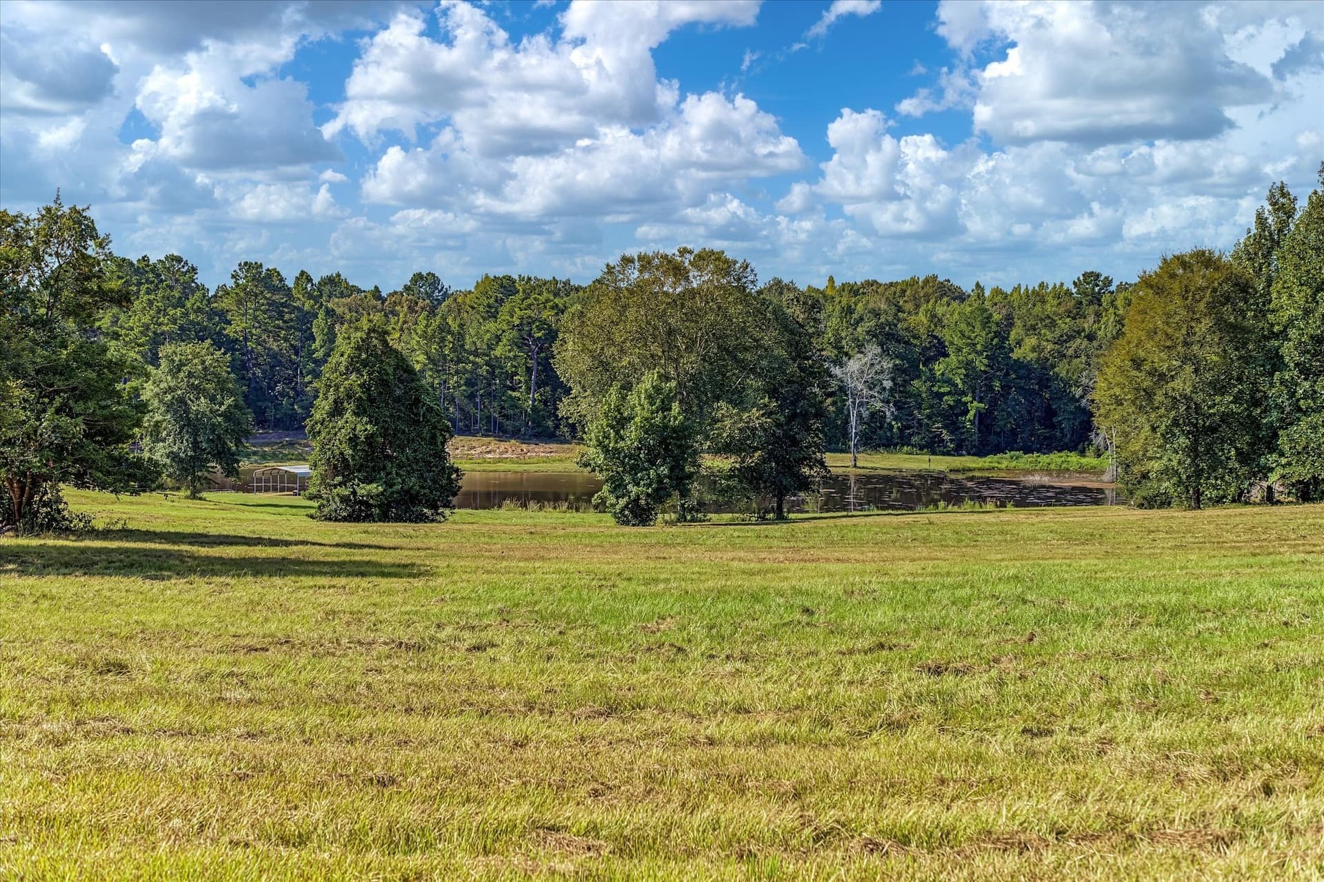 17.82 acres in Leon County - photo 29
