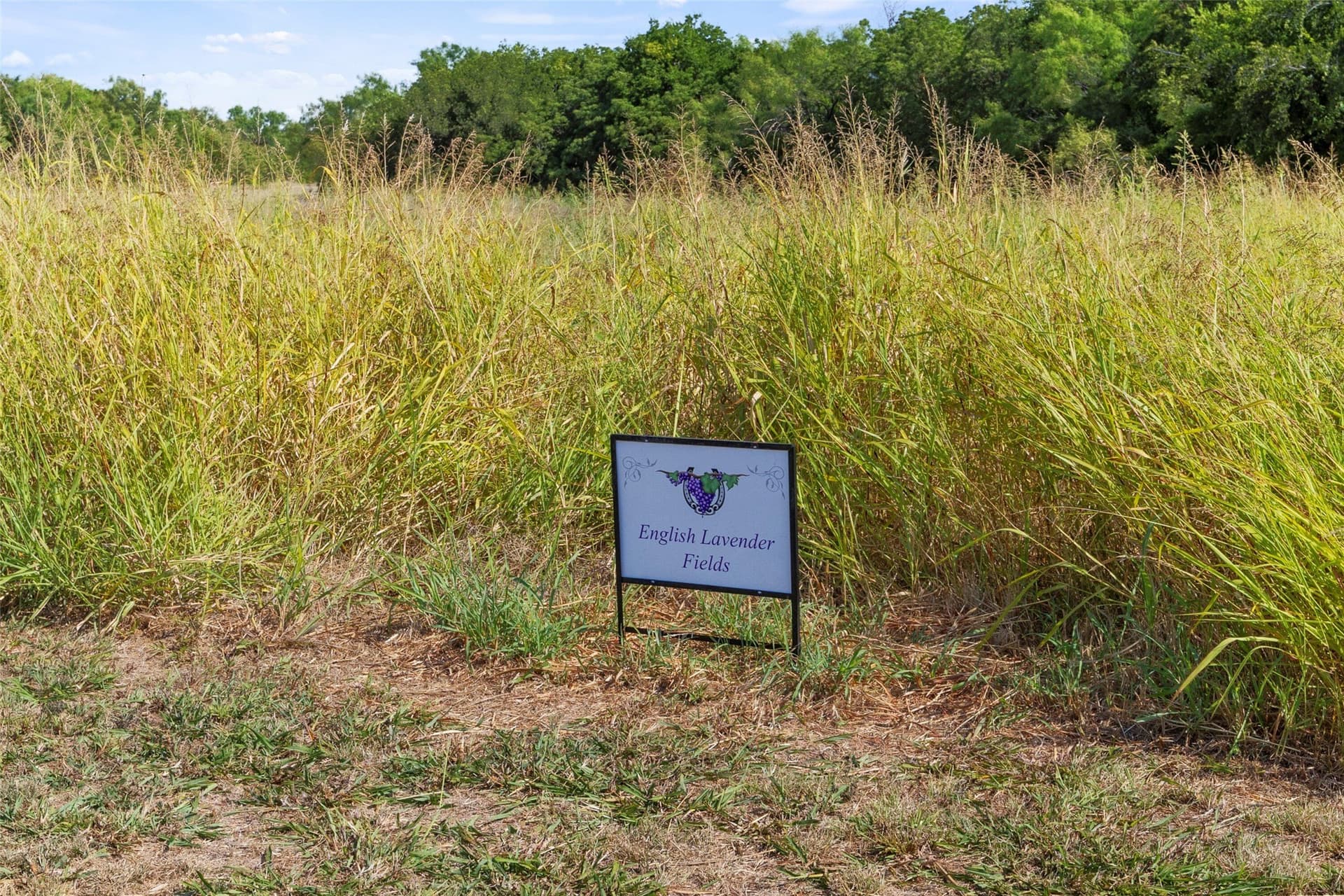 74.4 acres in Wichita County - photo 38