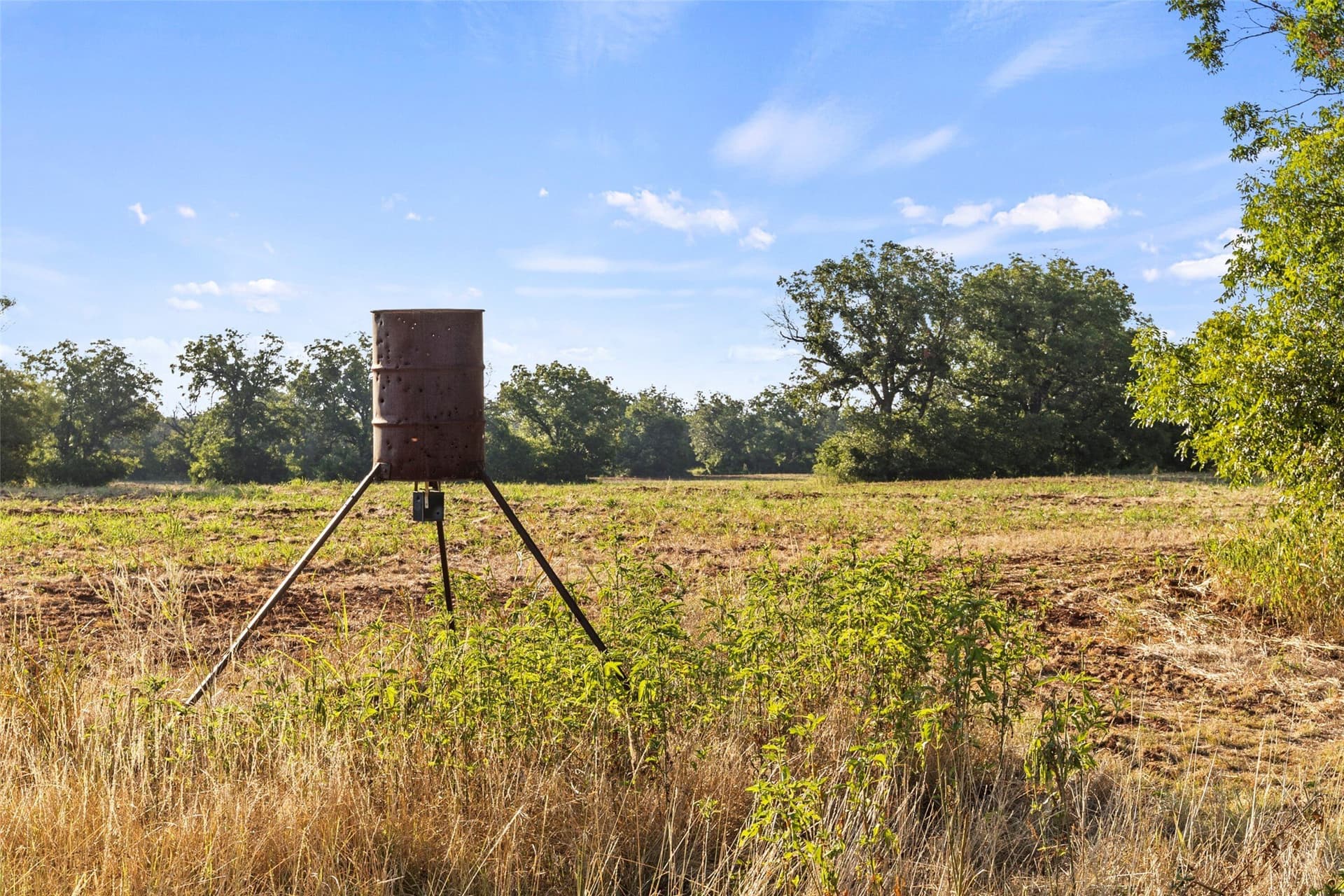74.4 acres in Wichita County - photo 36