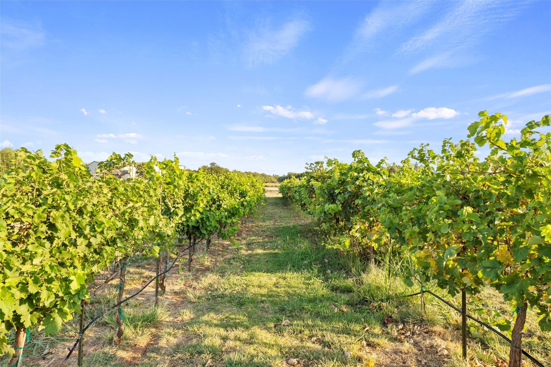 74.4 acres in Wichita County - photo 2