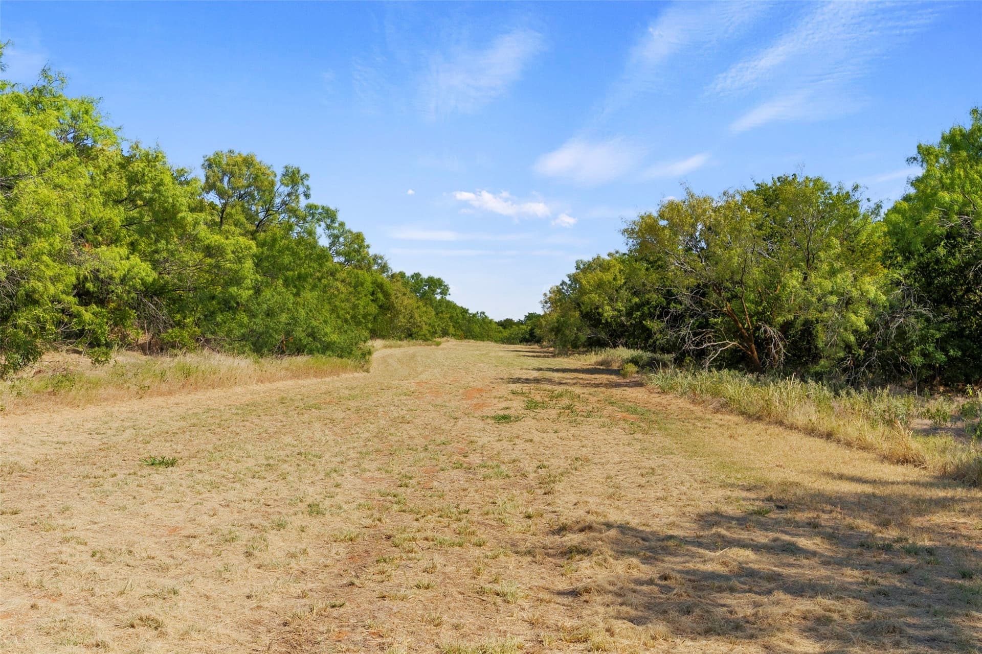 74.4 acres in Wichita County - photo 37