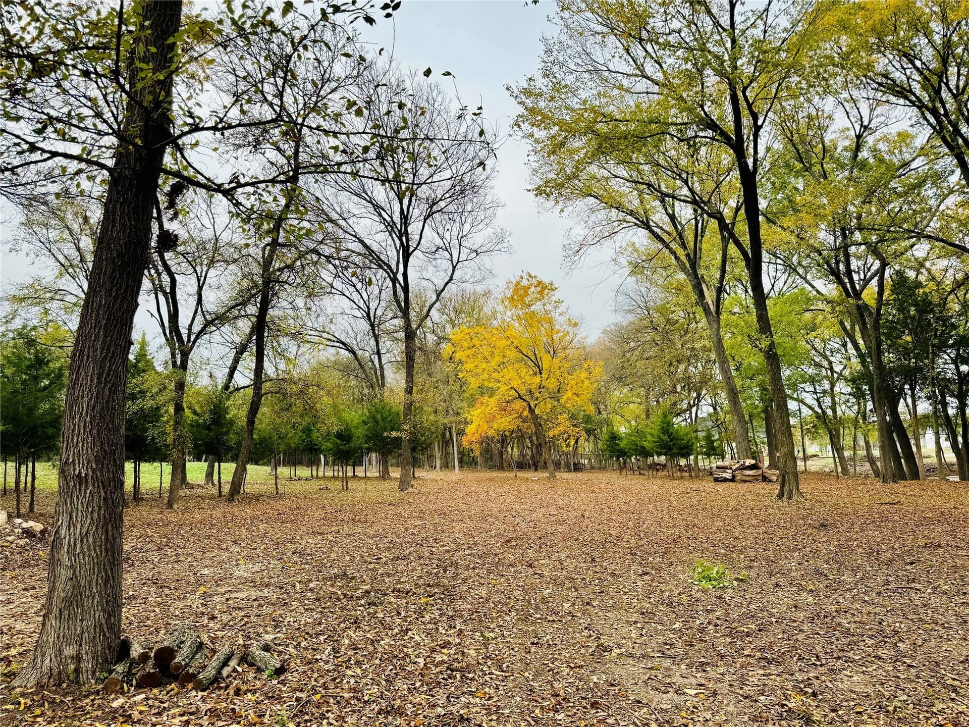 3.12 acres in Ellis County - photo 18