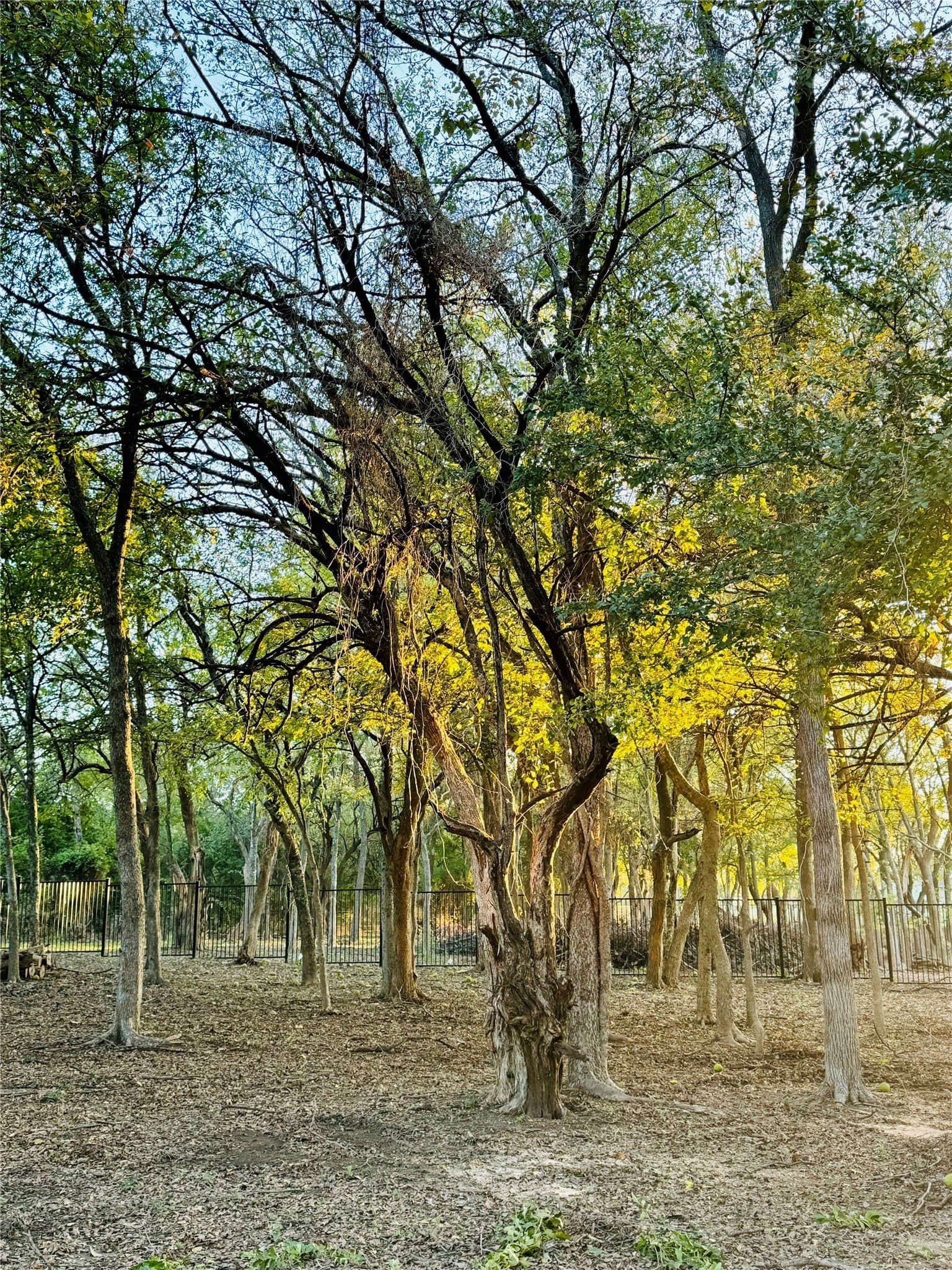 3.12 acres in Ellis County - photo 11