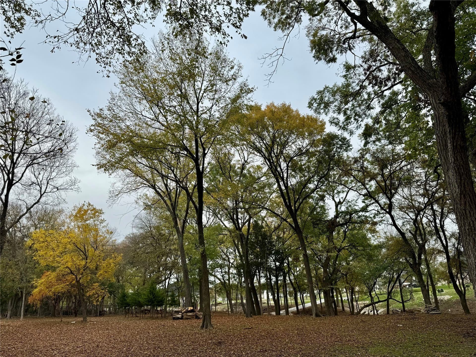 3.12 acres in Ellis County - photo 19