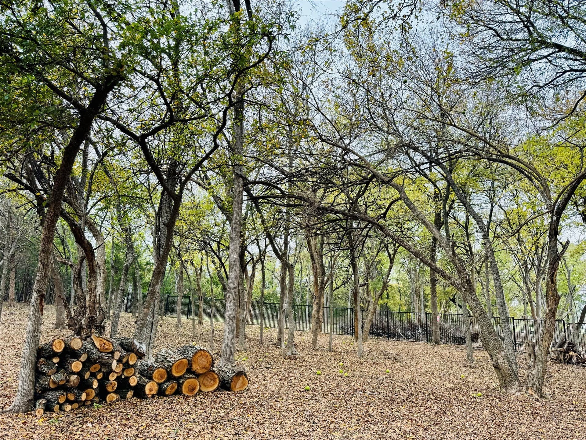 3.12 acres in Ellis County - photo 3