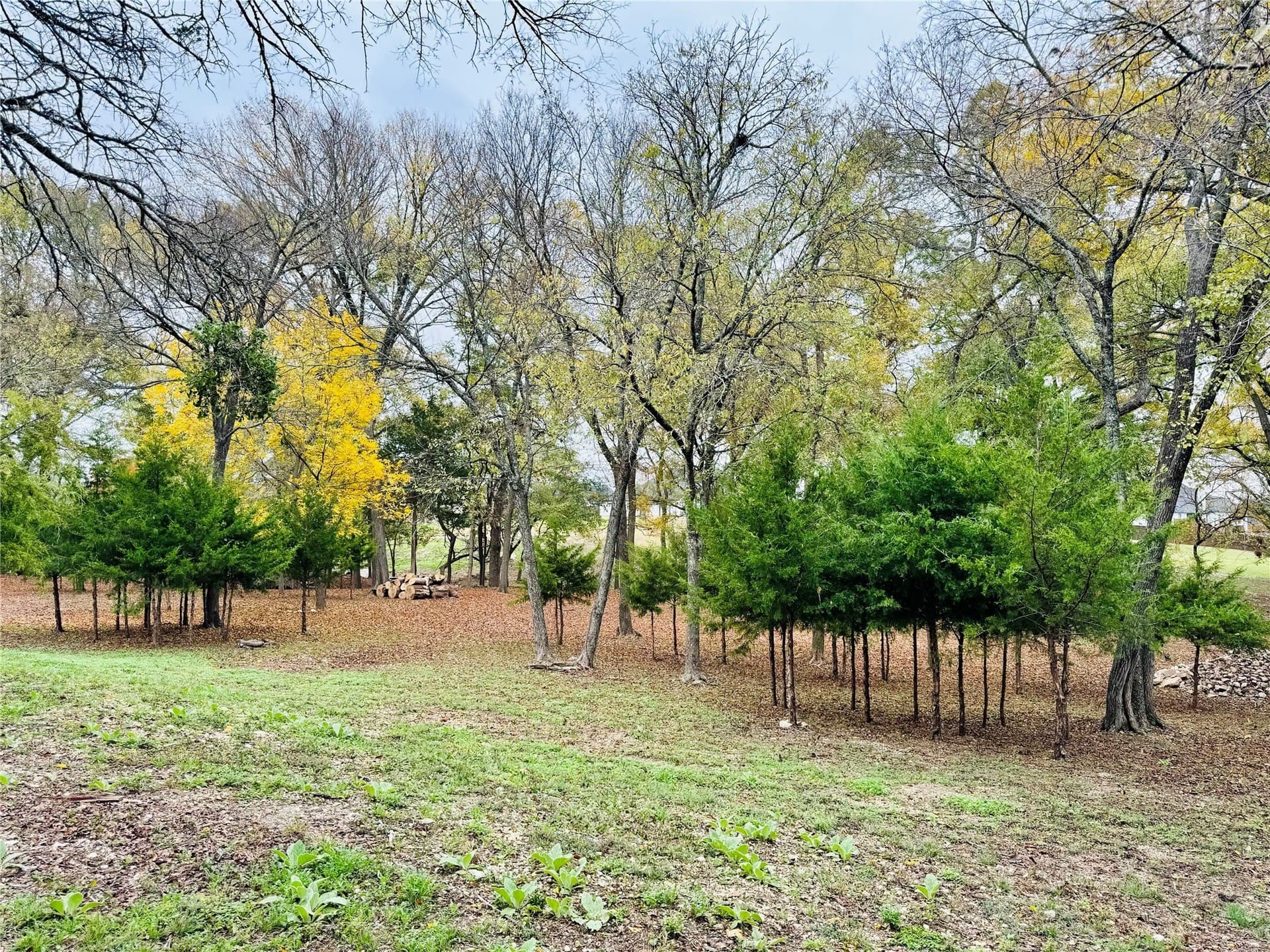 3.12 acres in Ellis County - photo 21