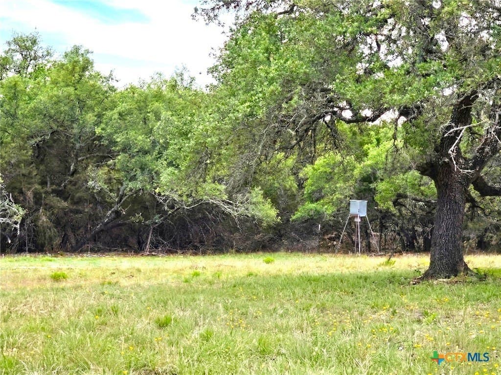 12 acres in Burnet County gallery image 4