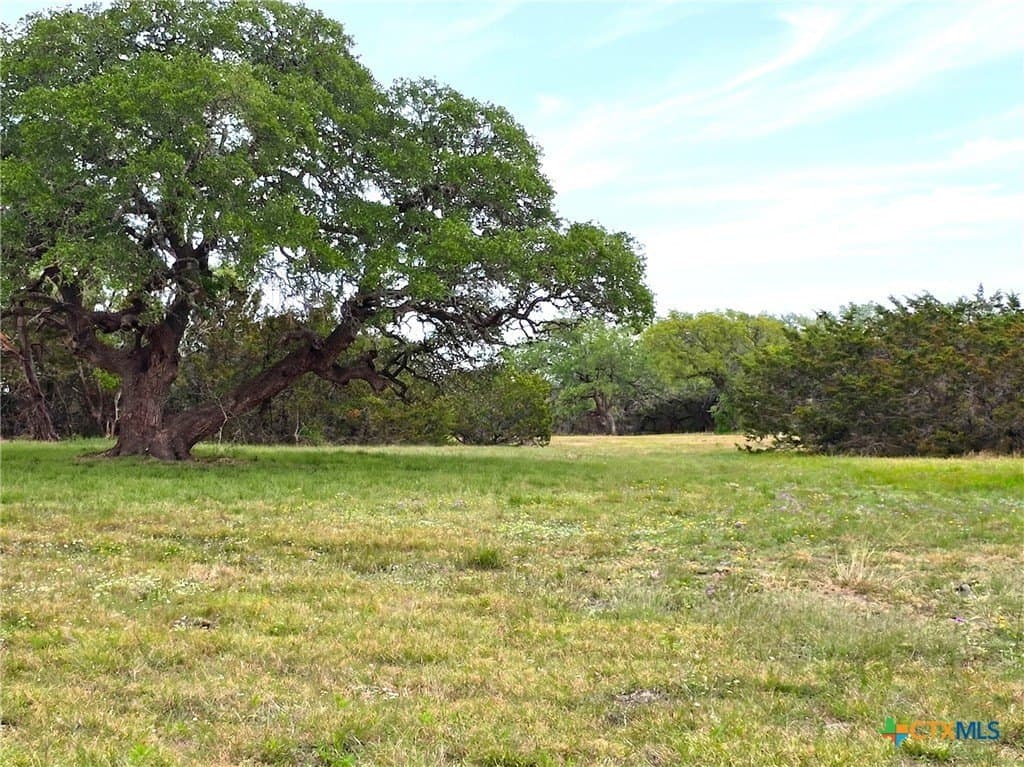 12 acres in Burnet County gallery image 2