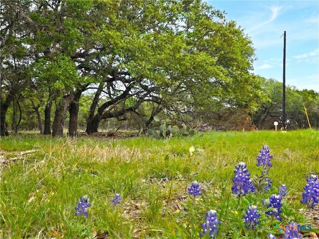12 acres in Burnet County