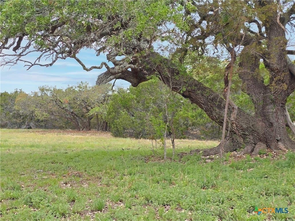 12 acres in Burnet County featured view