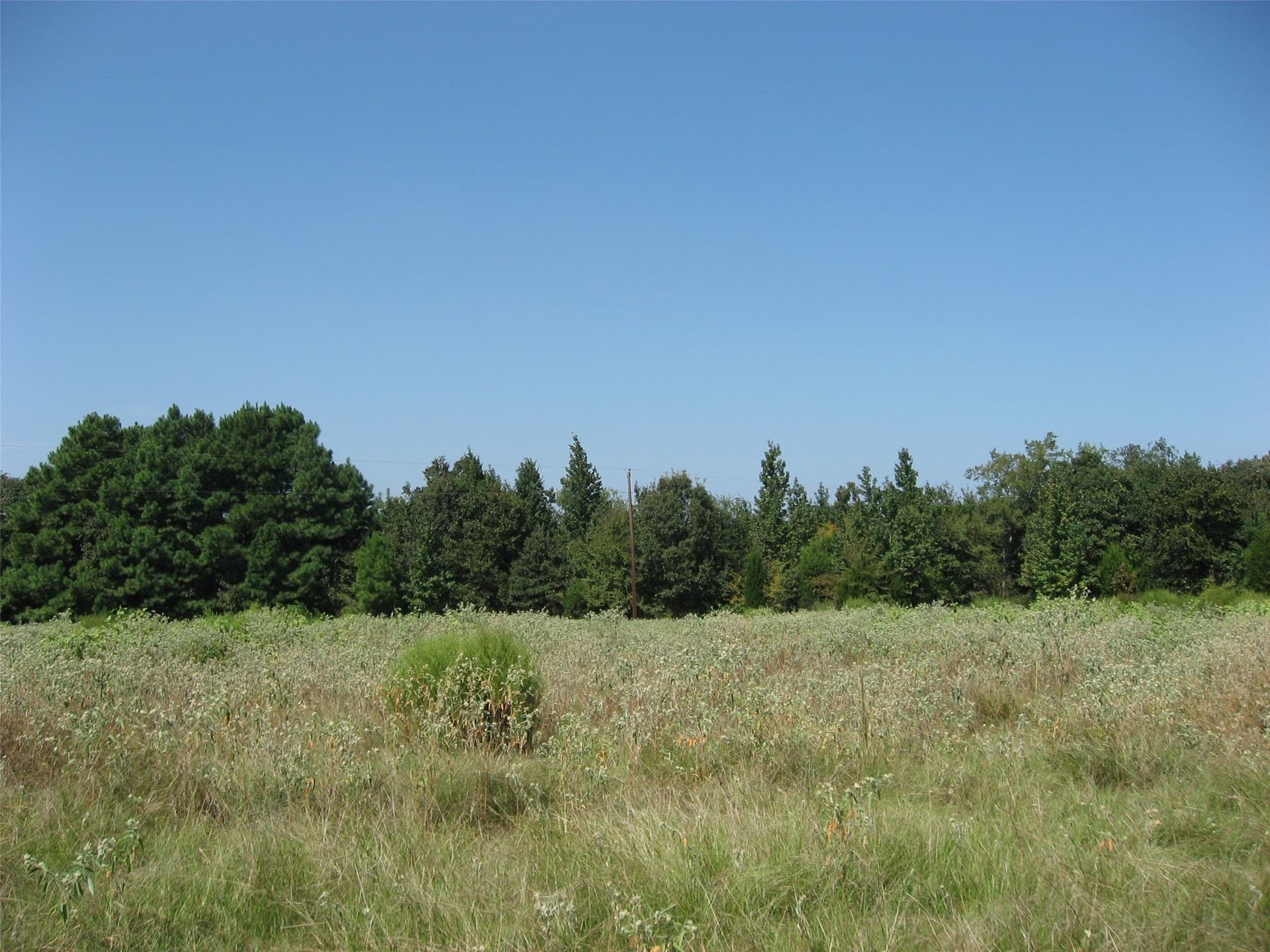 5.04 acres in Henderson County gallery image 2