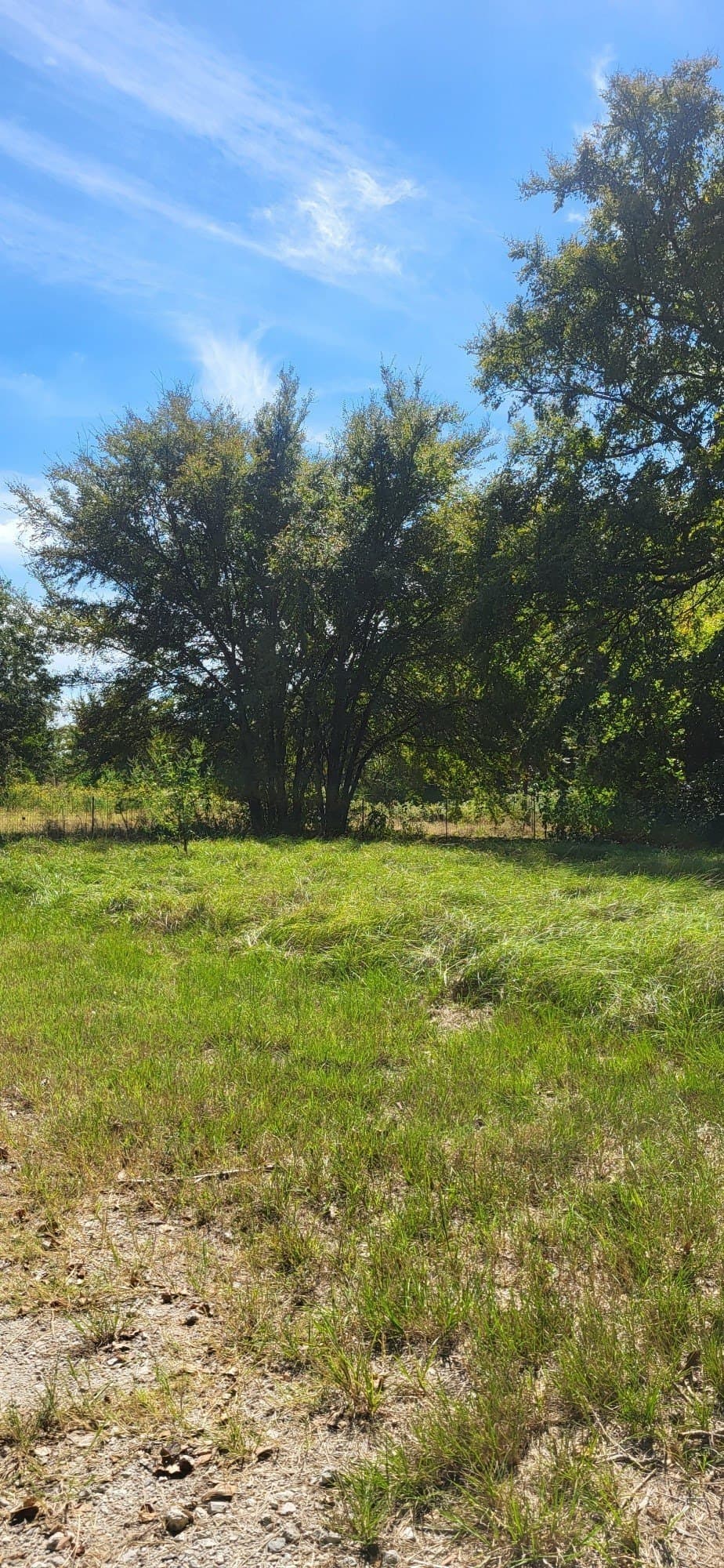 5.04 acres in Henderson County gallery image 3