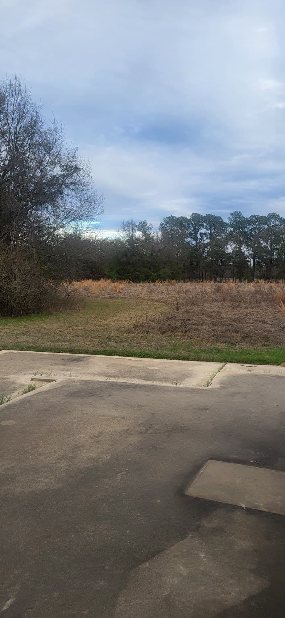 5.04 acres in Henderson County - photo 8