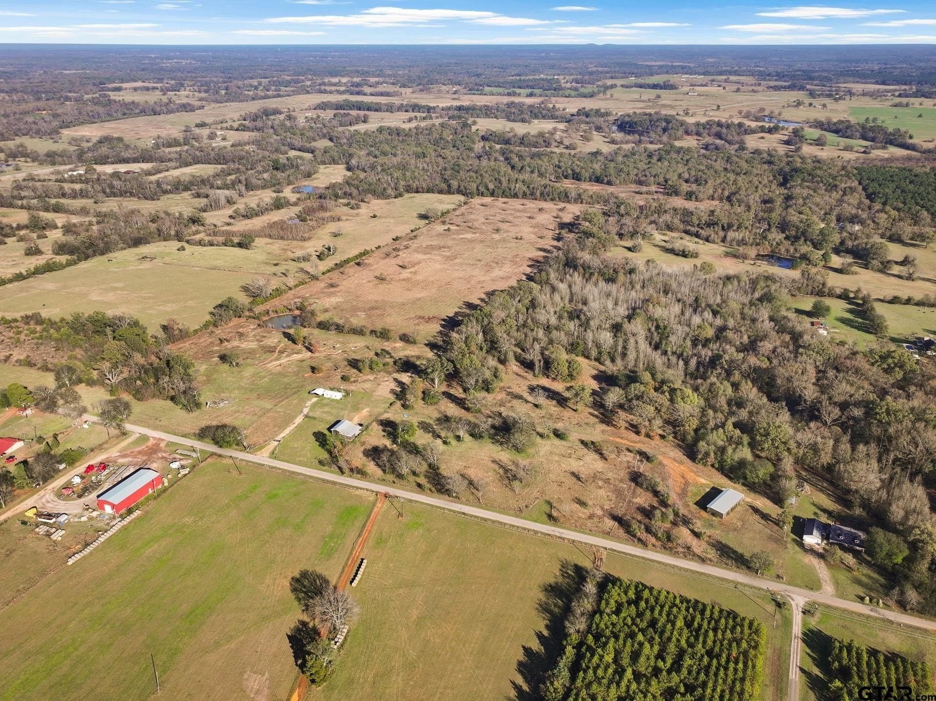 14.16 acres in Titus County - photo 6