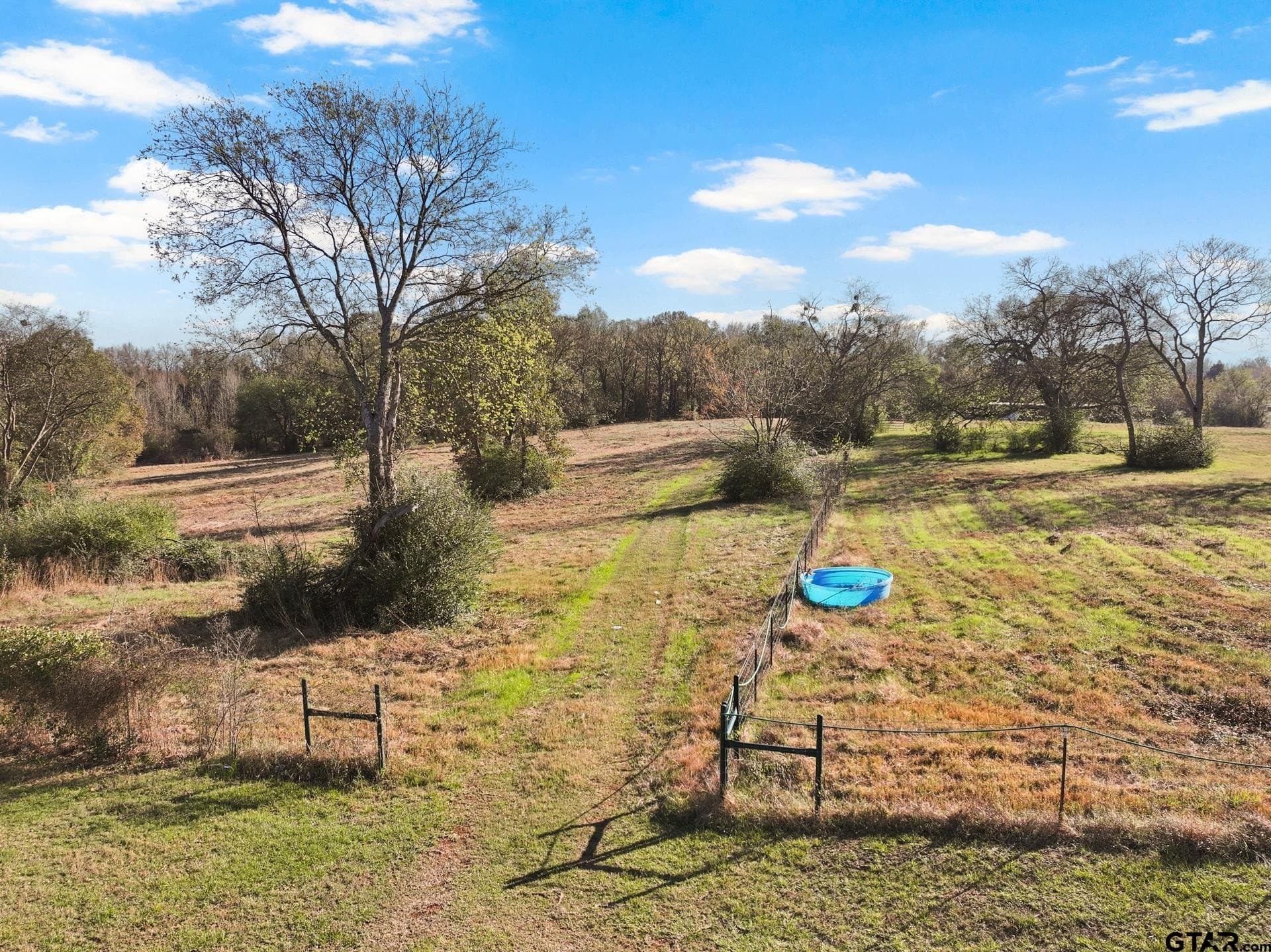 14.16 acres in Titus County - photo 4