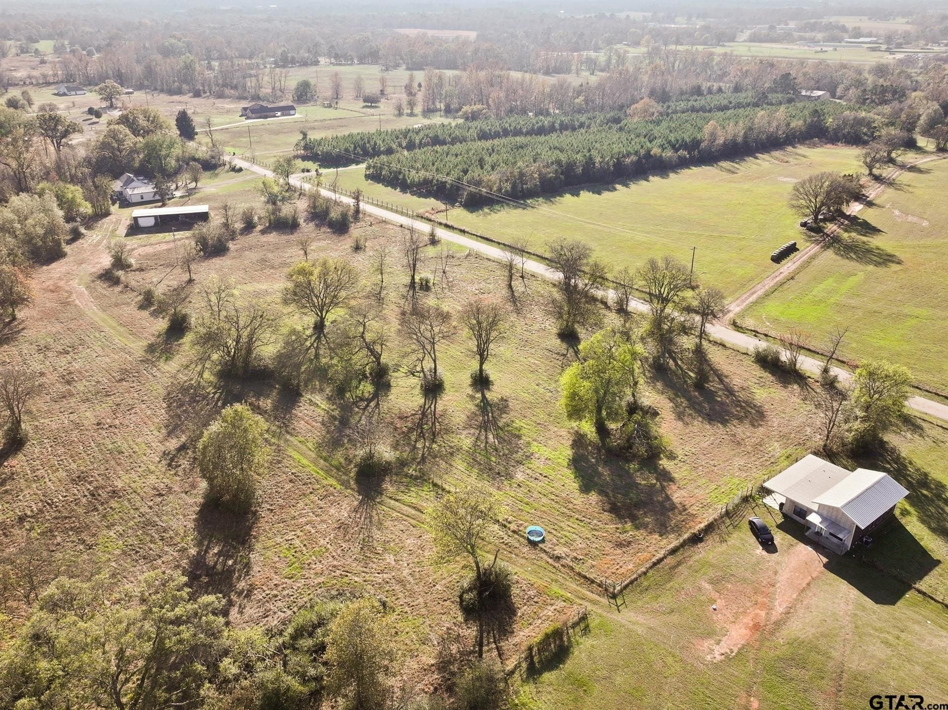 14.16 acres in Titus County - photo 3