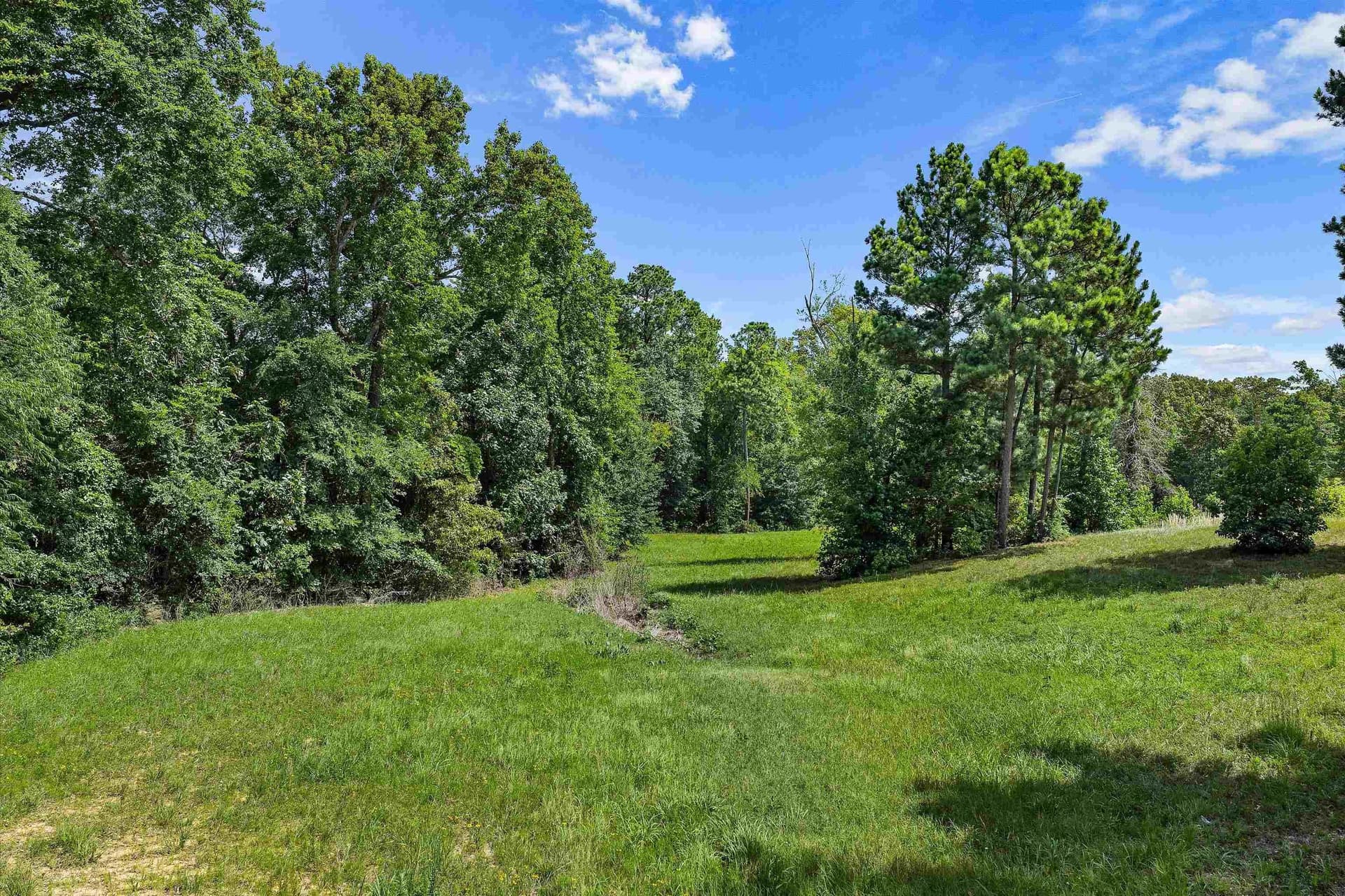 3.58 acres in Texas County - photo 10