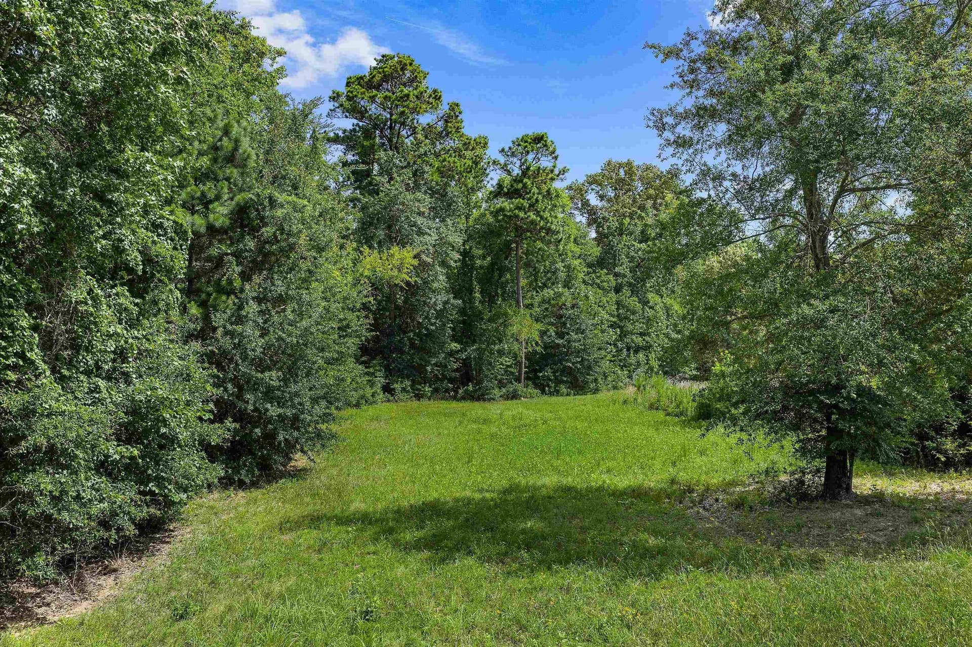 3.58 acres in Texas County - photo 11