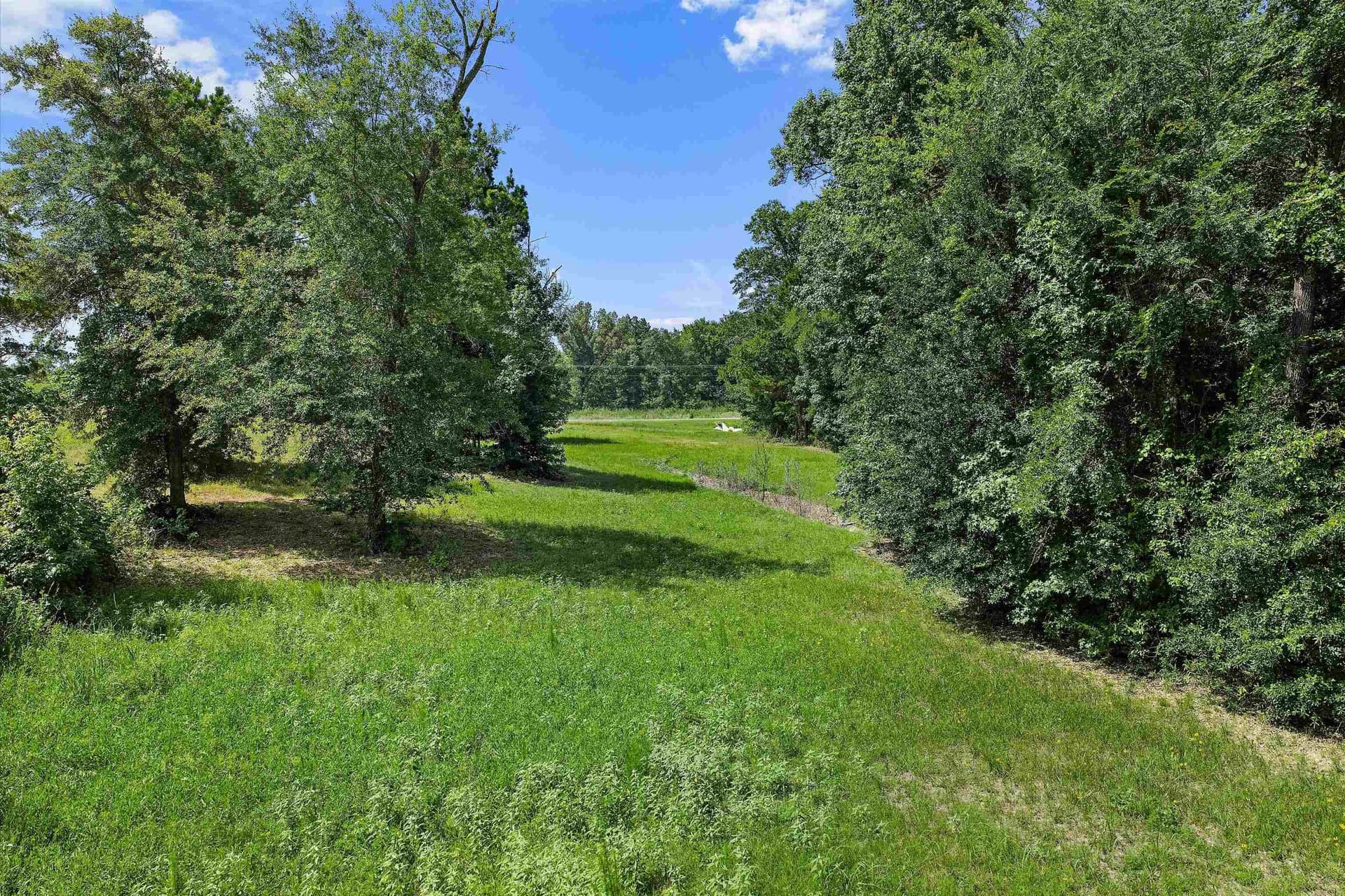 3.58 acres in Texas County - photo 12