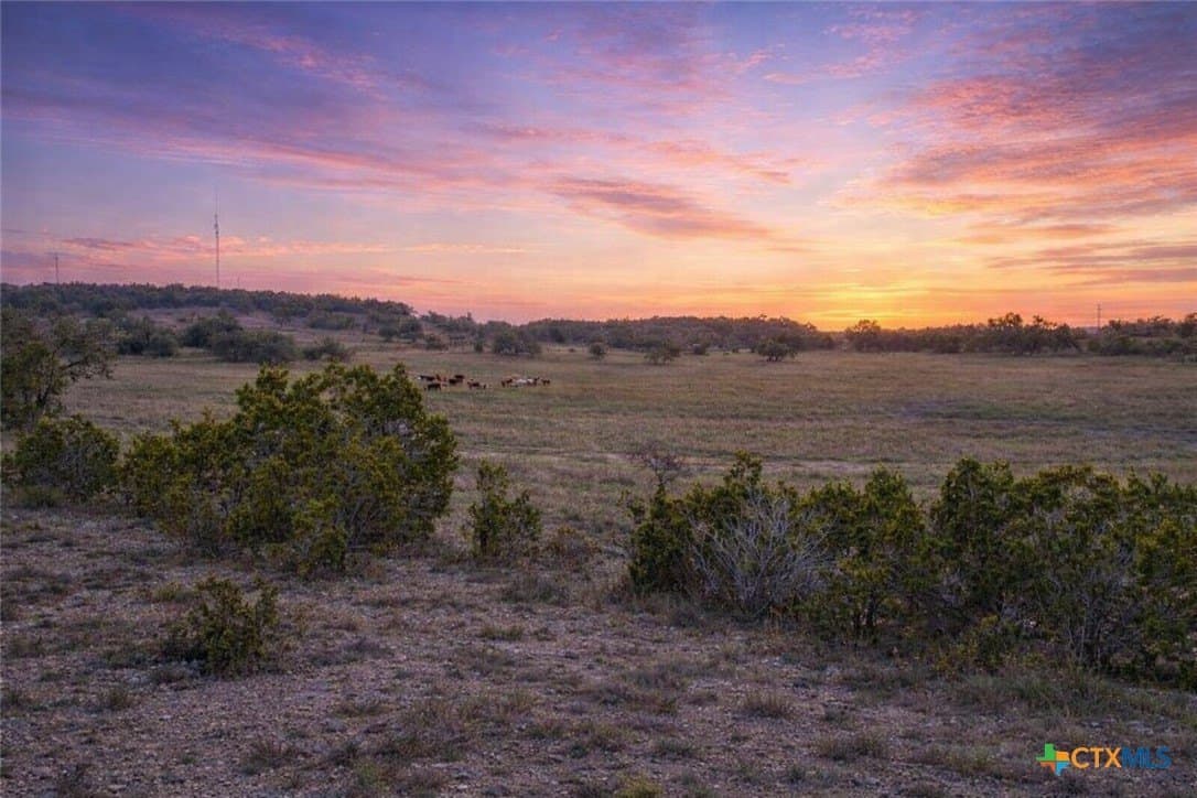 11.74 acres in Hays County gallery image 4