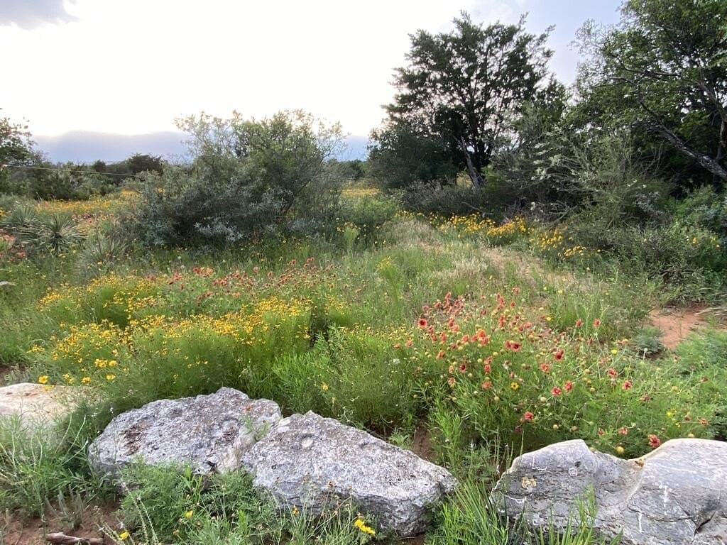 24.27 acres in Gillespie County