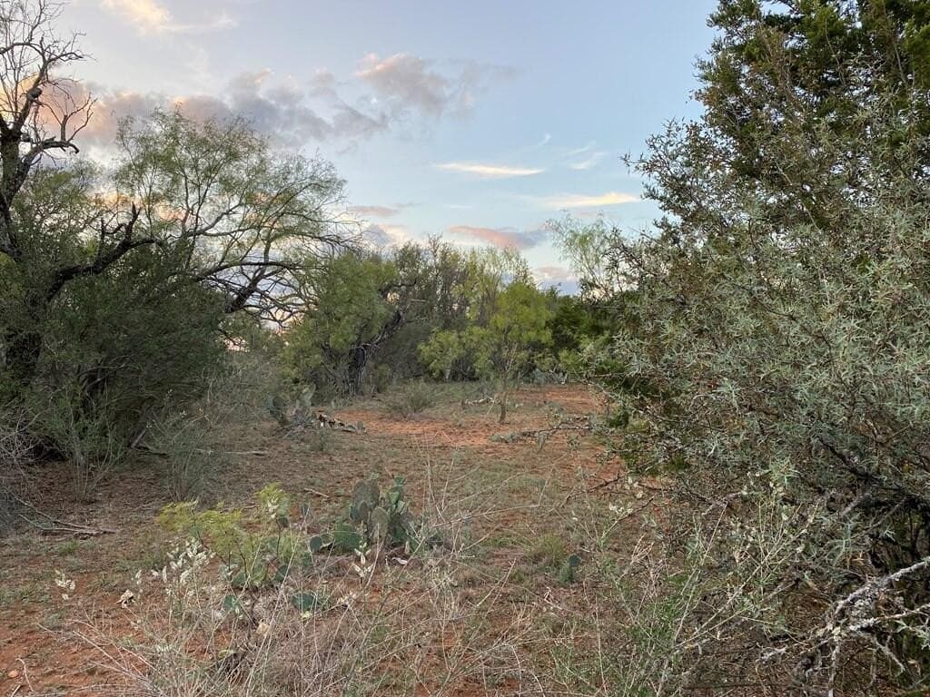 24.27 acres in Gillespie County - photo 3