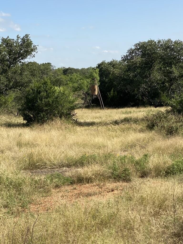 24.27 acres in Gillespie County - photo 11
