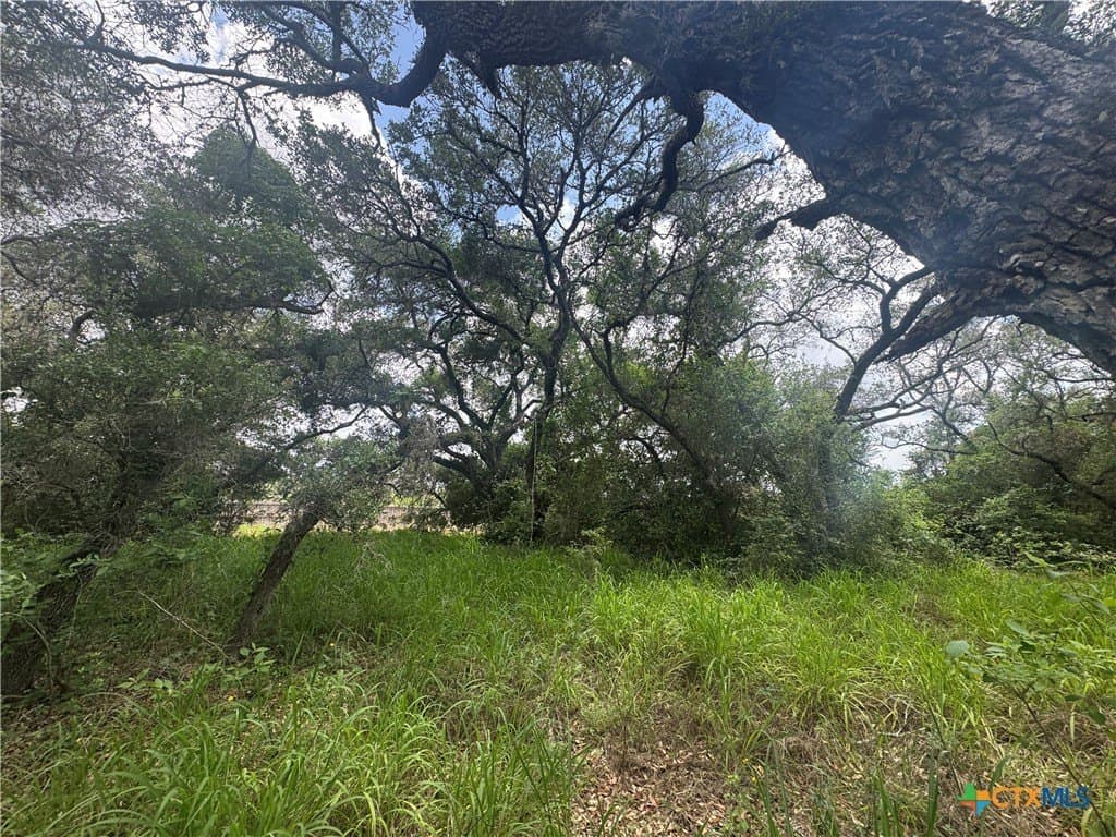 1.29 acres in Victoria County featured view