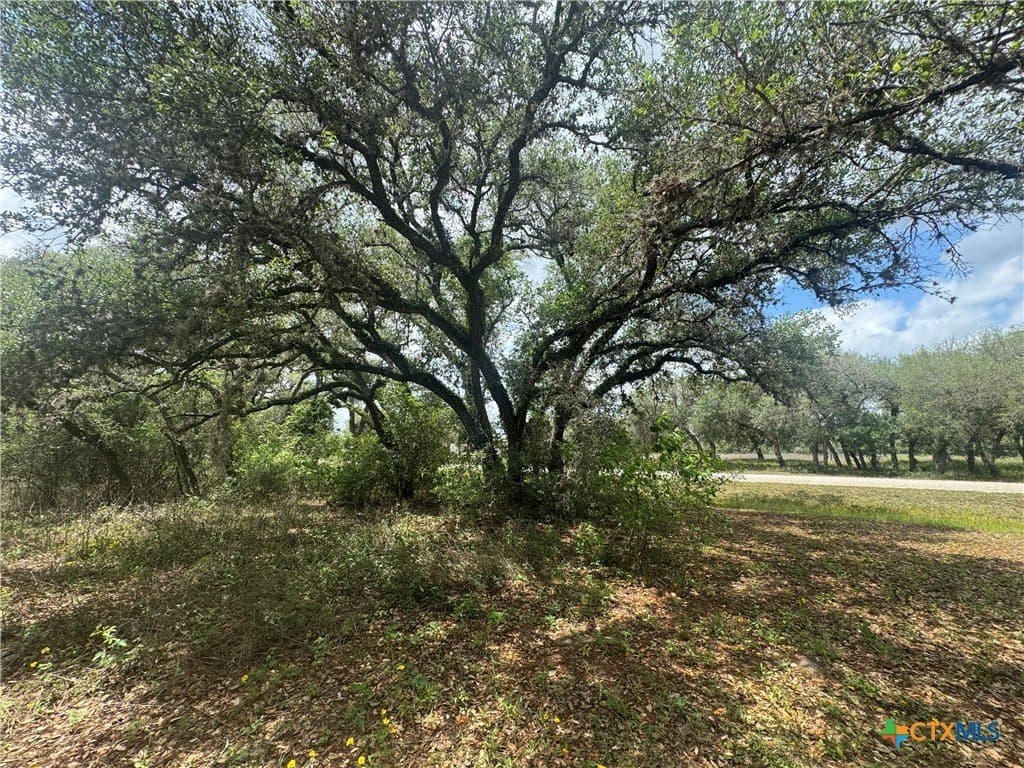 1.29 acres in Victoria County gallery image 3