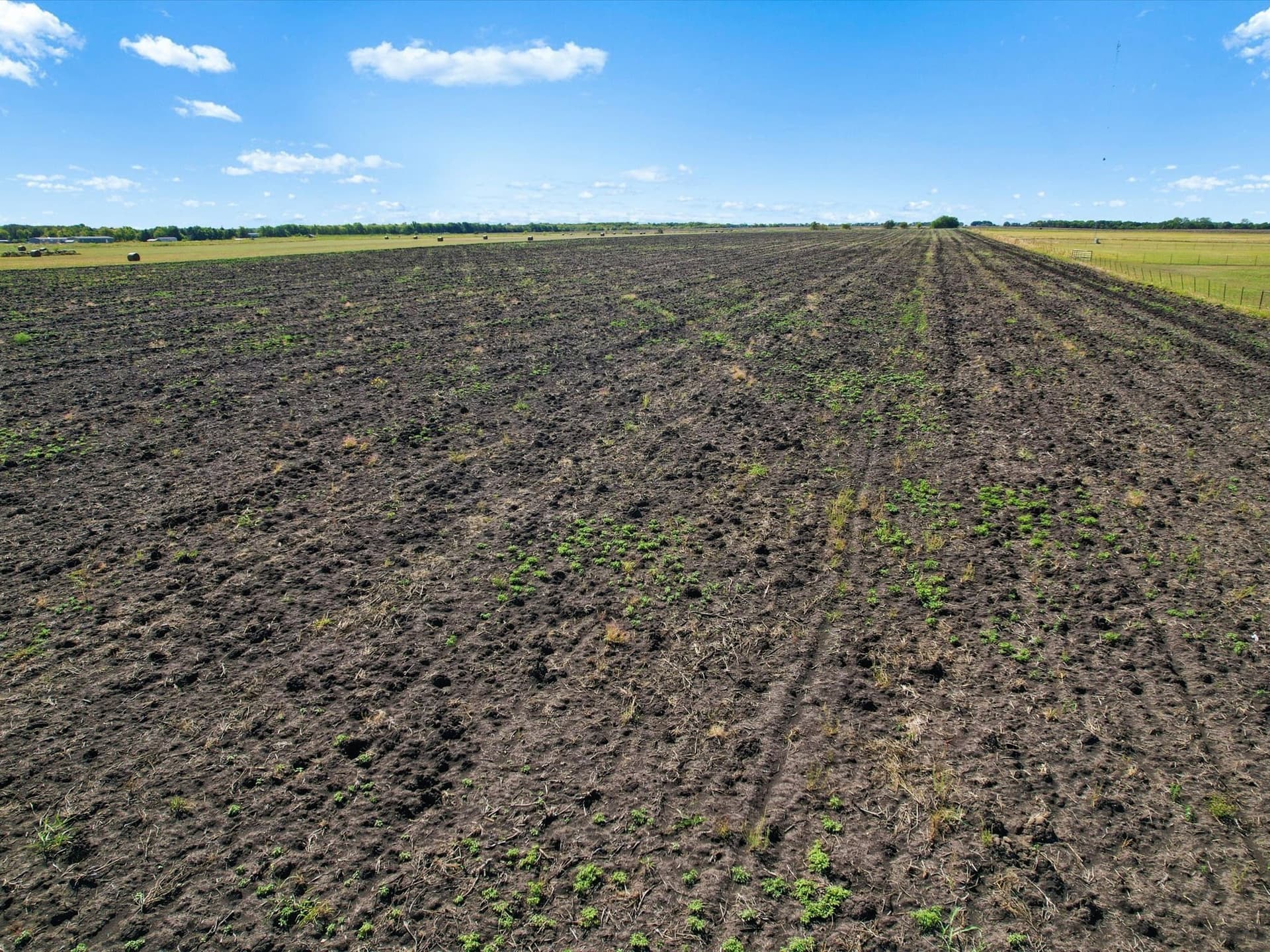 26 acres in Grayson County - photo 13