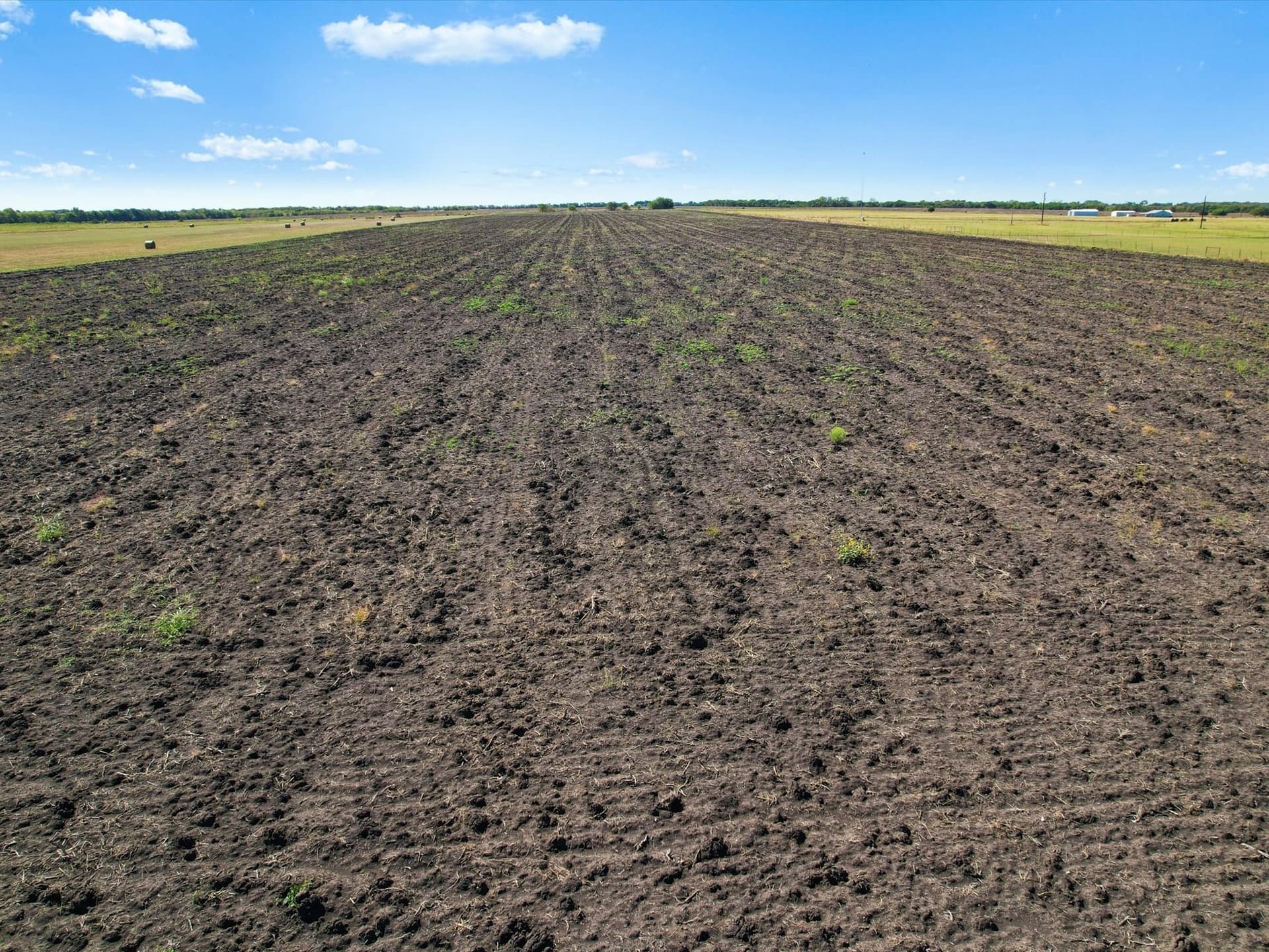 26 acres in Grayson County - photo 15