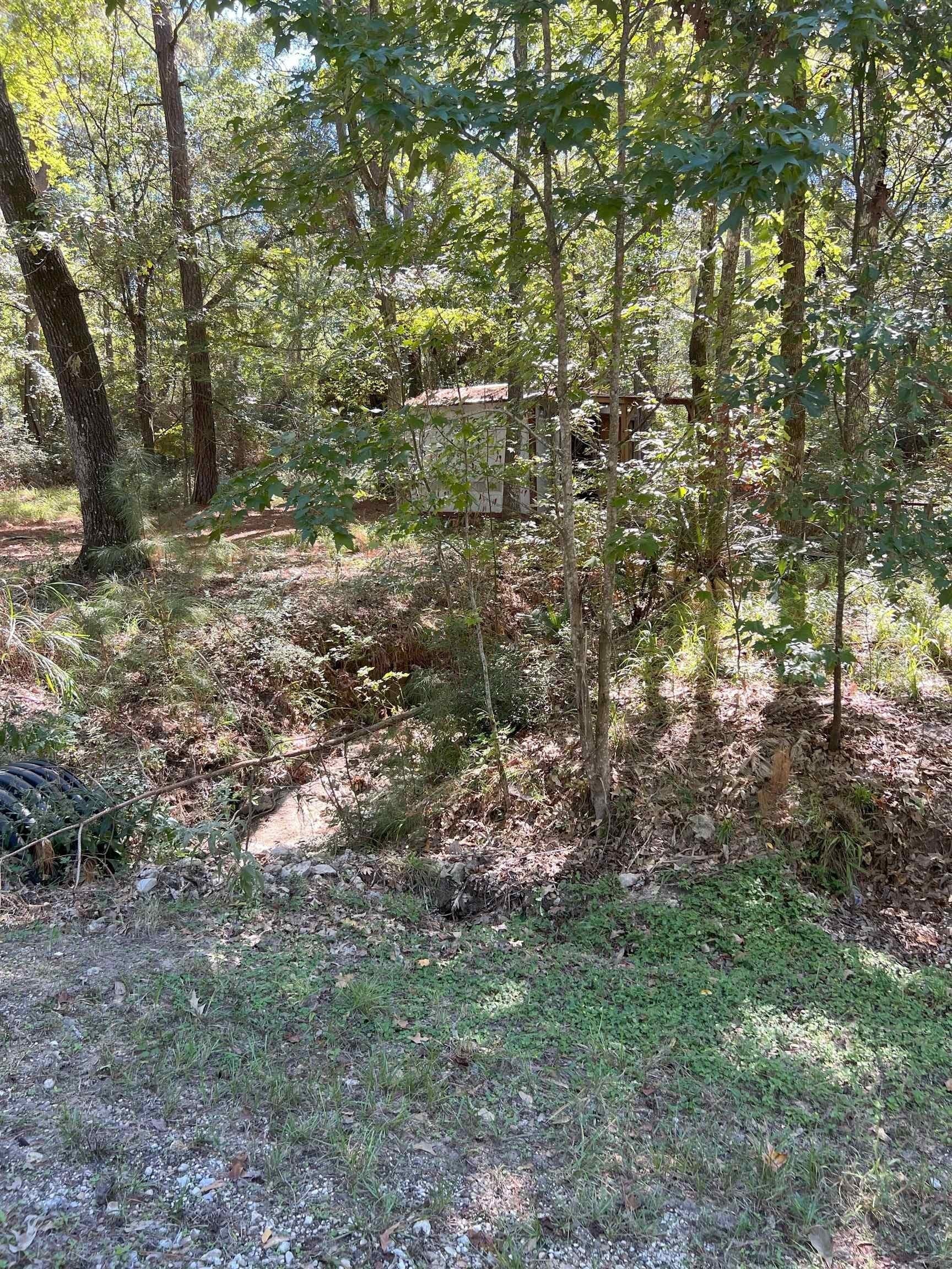 0.62 acres in Texas County - photo 12