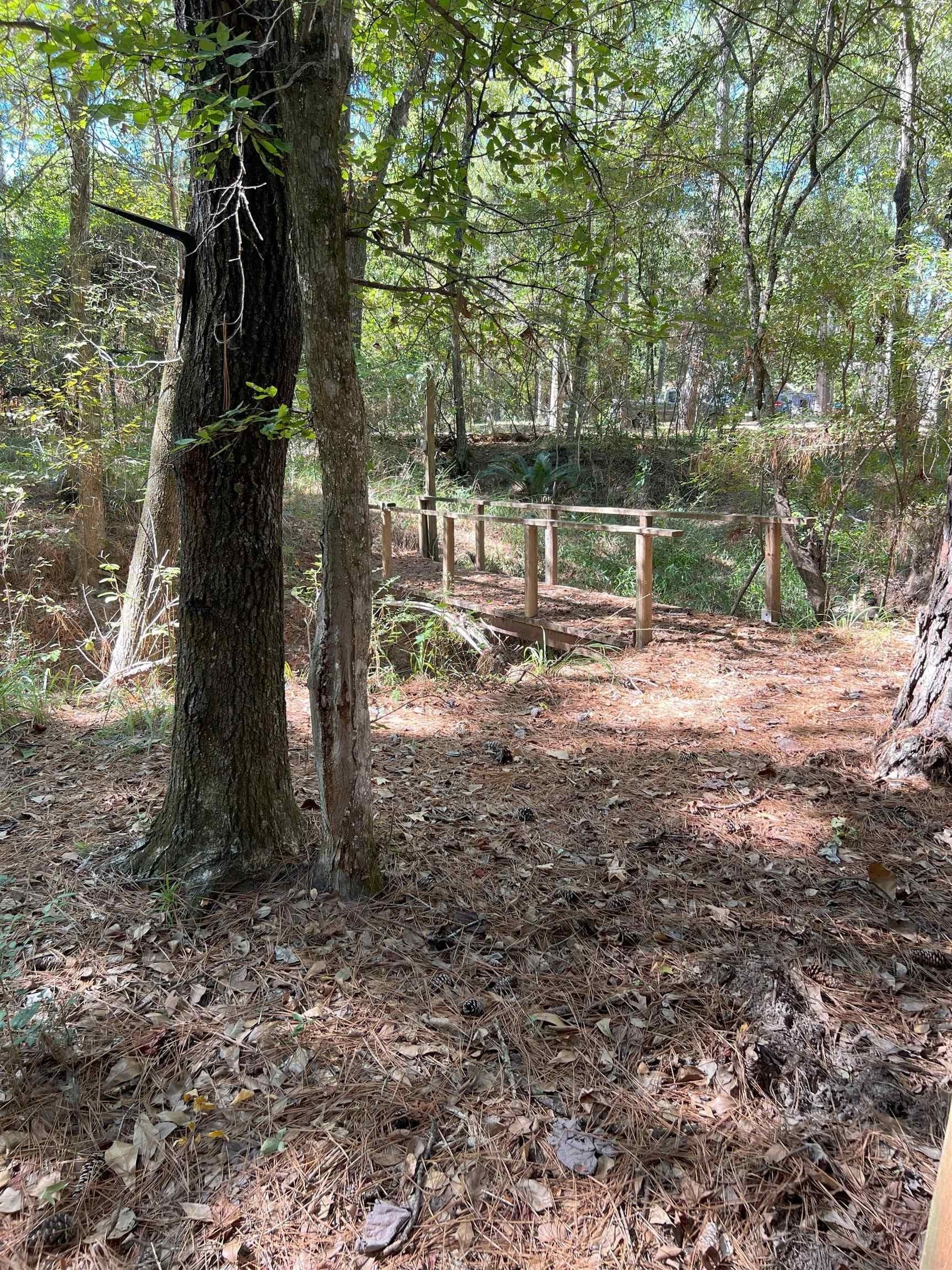0.62 acres in Texas County - photo 8