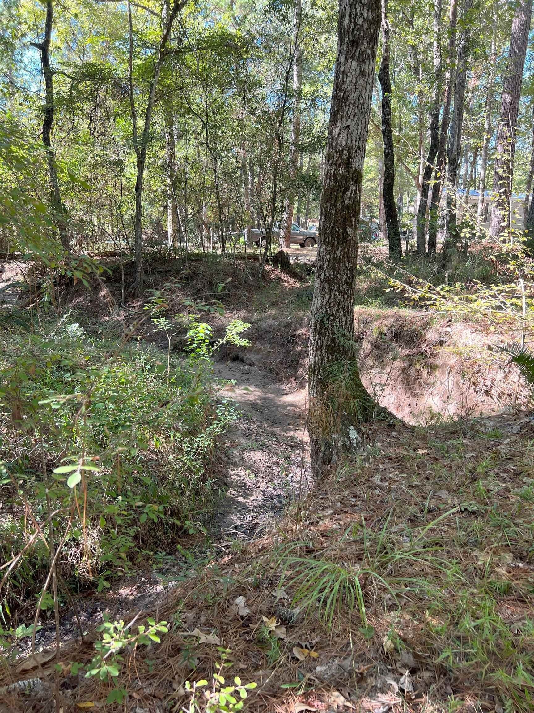 0.62 acres in Texas County - photo 11