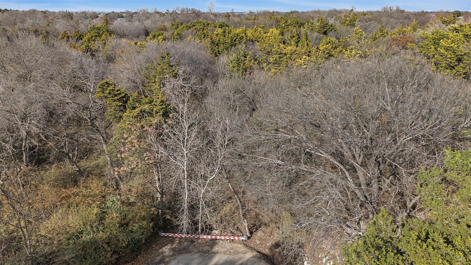 22.9 acres in Dallas County - photo 15